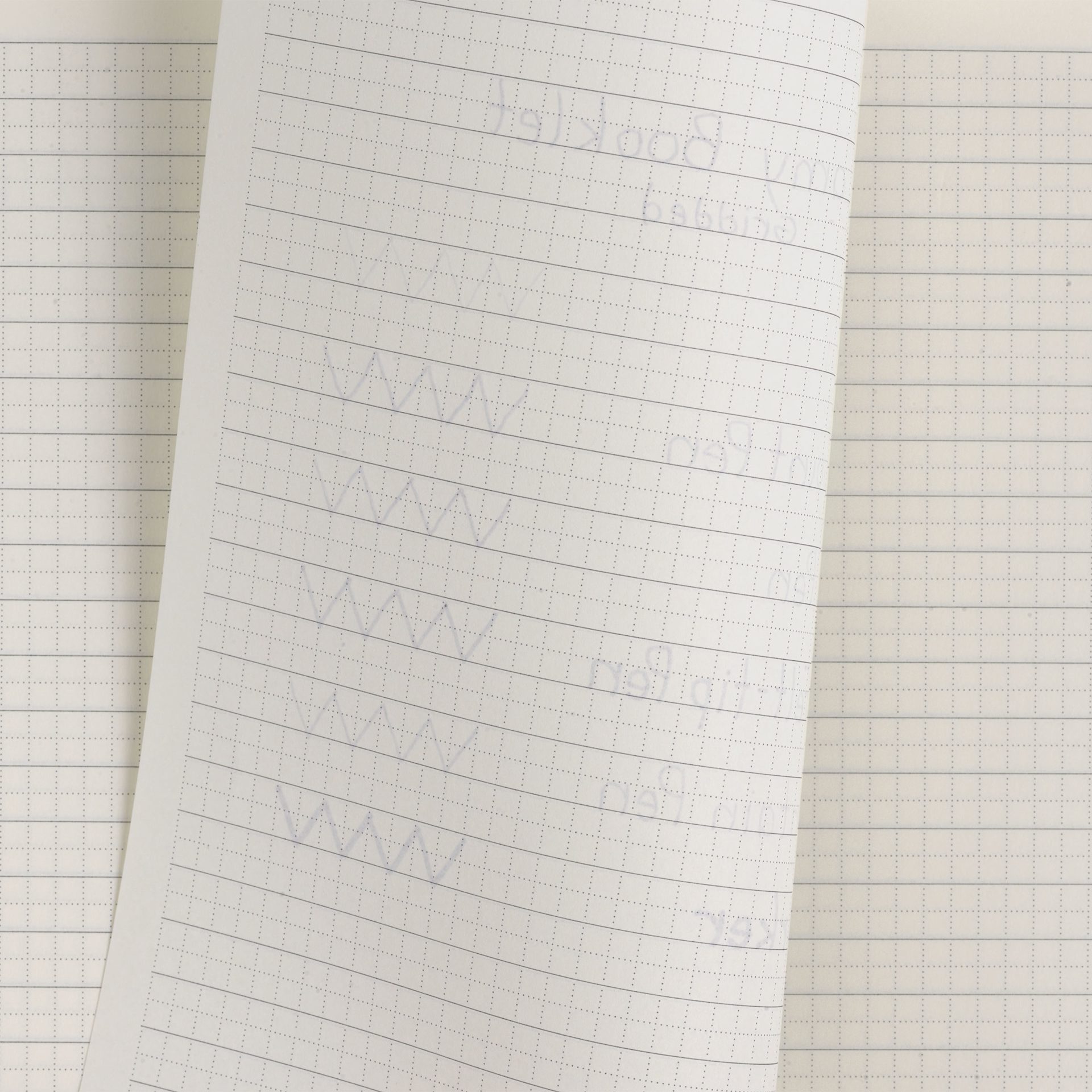 Lamy Booklets, bleed of pen marks on grid paper
Lamy Booklets, bleed of pen marks on grid paper
