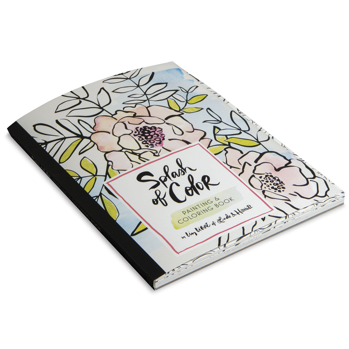 Splash of Color Painting & Coloring Book - lying flat