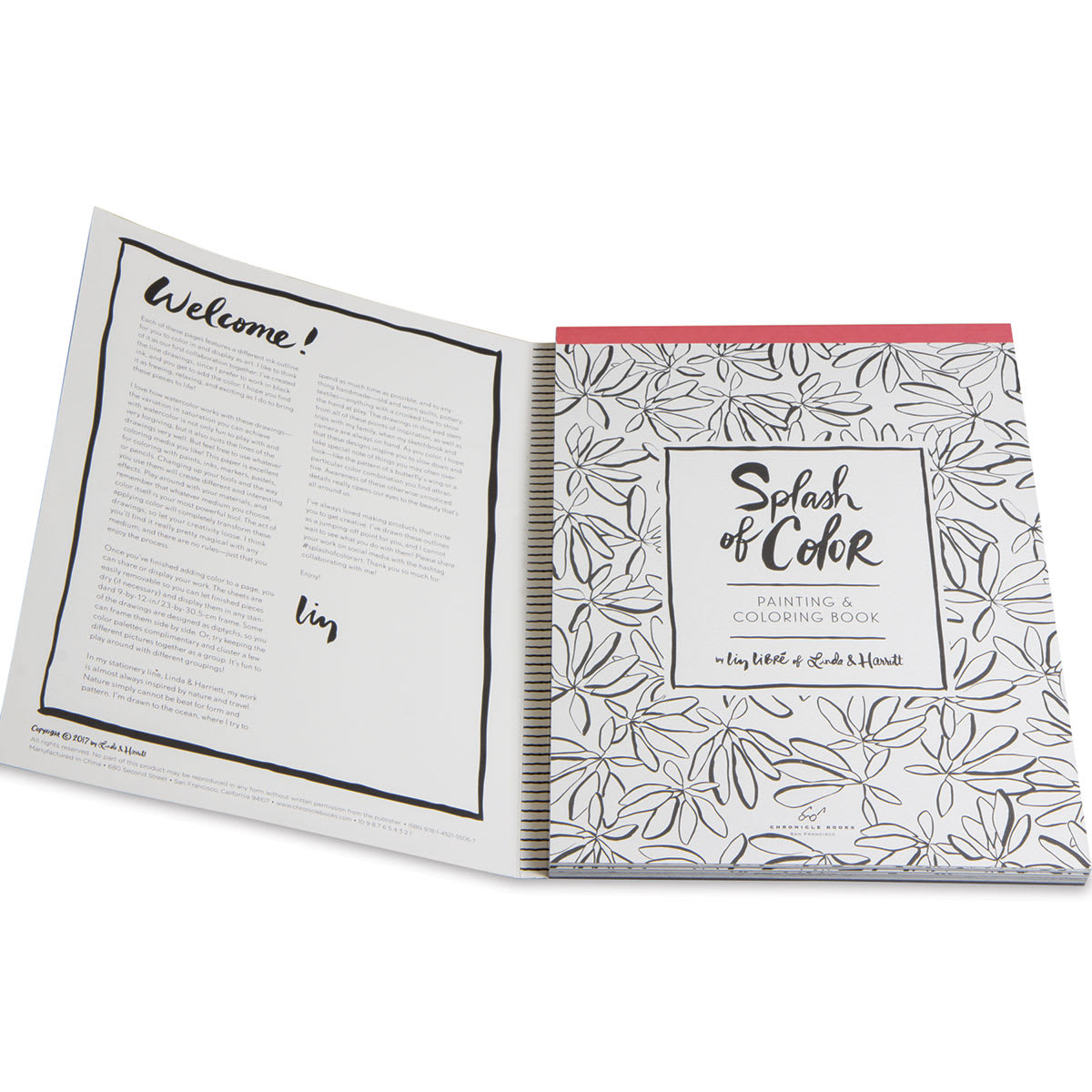 Splash of Color Painting & Coloring Book - front cover open