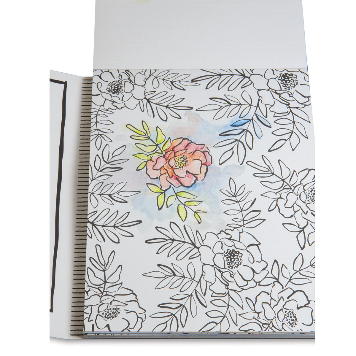 Splash of Color Painting & Coloring Book - open to first coloring page