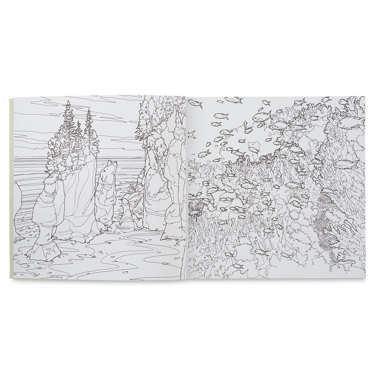 Fantastic Planet: A Coloring Book of Amazing Places Real and Imagined