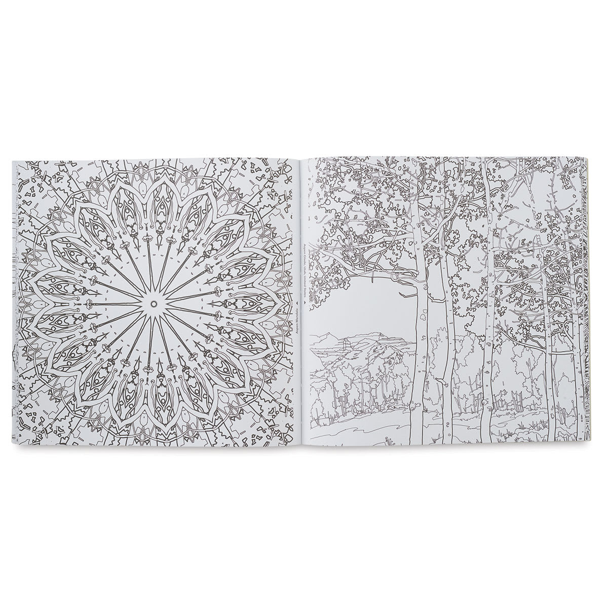 Fantastic Planet: A Coloring Book of Amazing Places Real and Imagined