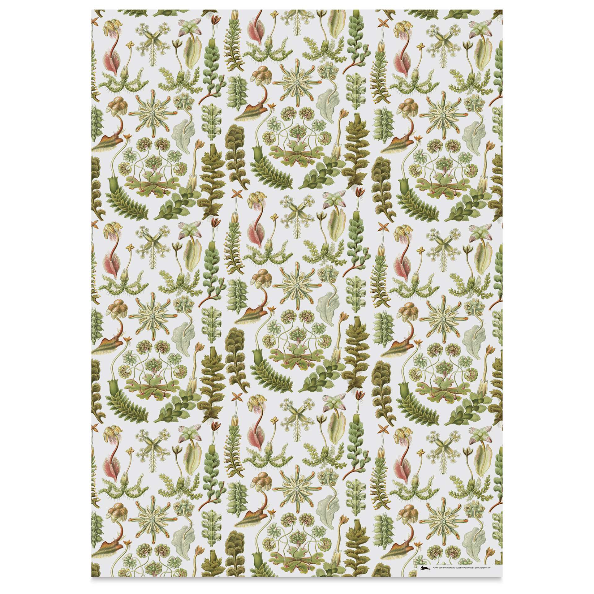 Pepin Press Creative Paper Book - Art Forms In Nature, flora