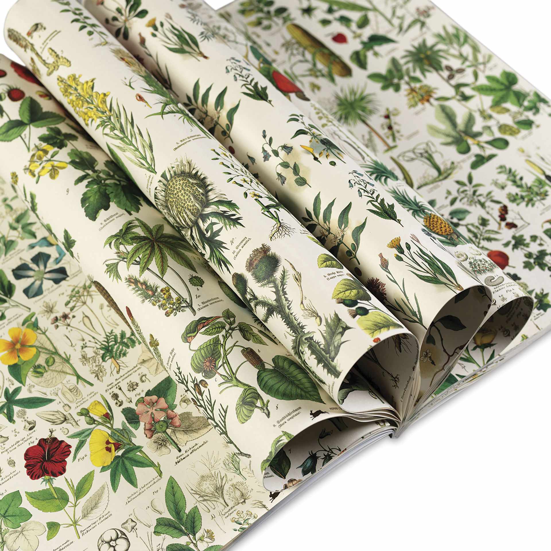 Pepin Press Creative Paper Book - Flora, open showing multiple sheets