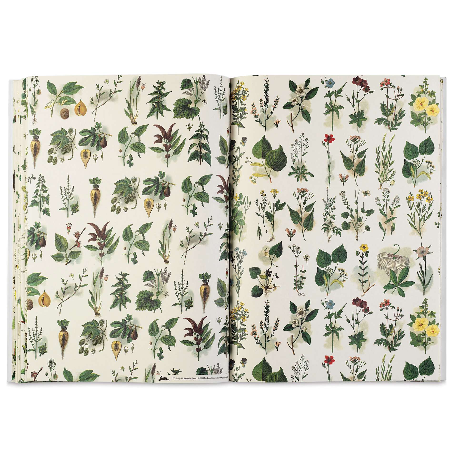 Pepin Press Creative Paper Book - Flora, open