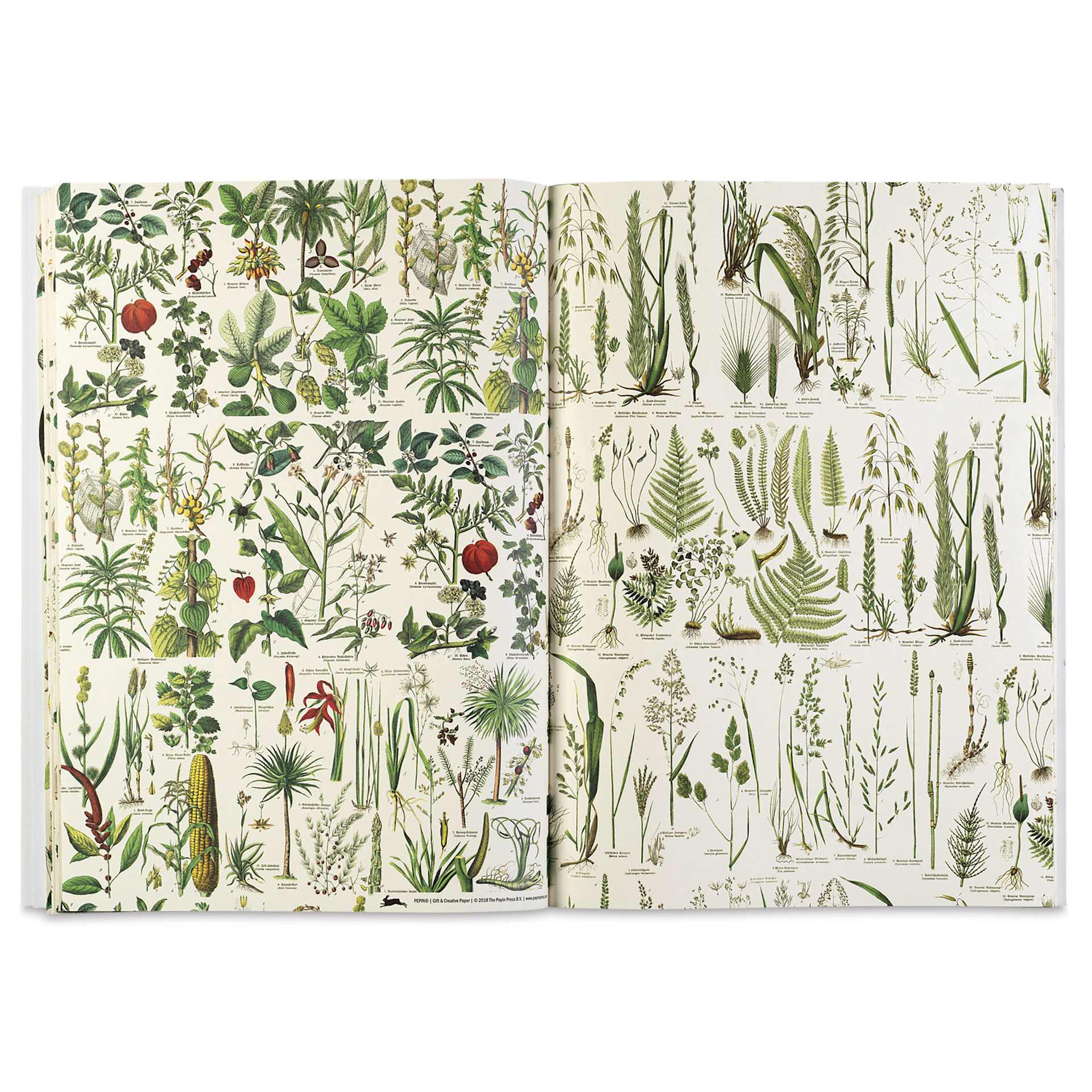 Pepin Press Creative Paper Book - Flora