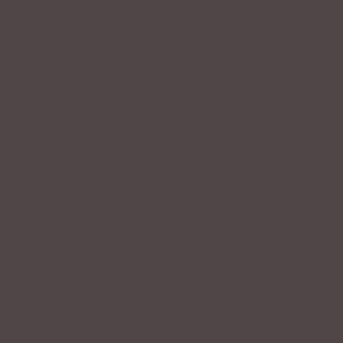 Artist Acrylic Paint Raw Umber   120ml Tube - Peggable