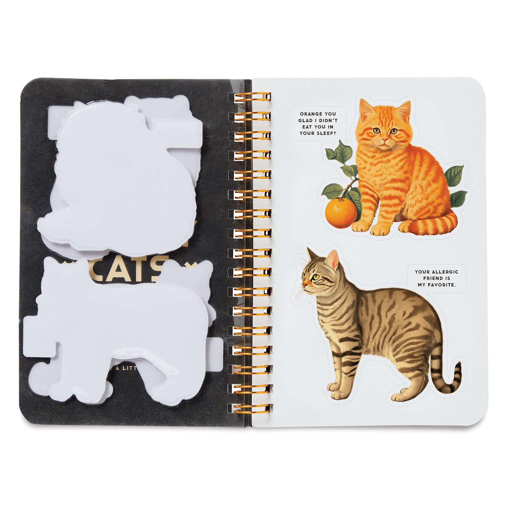 Moody Cats Sticker Book, open