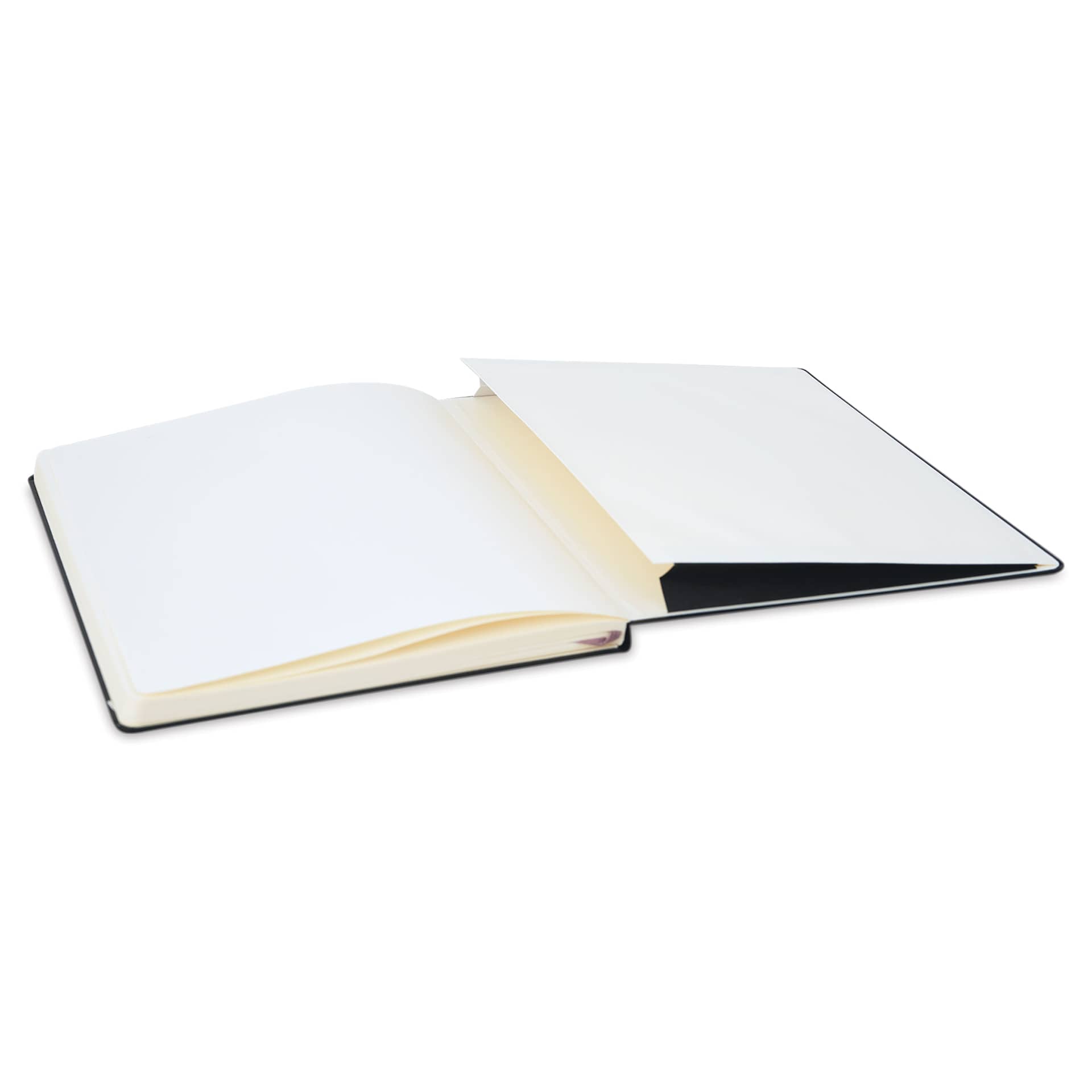 Moleskine Art Collection Sketchbook - Black, A4 (back pocket)