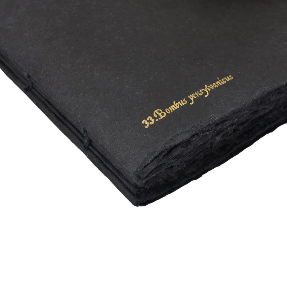 LAMALI Tresor Toned Soft-Cover Handmade Journal, 96 Pages, Black