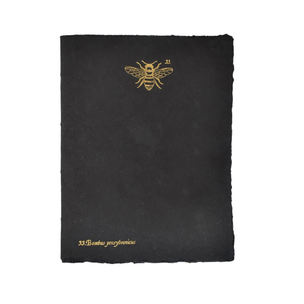 LAMALI Tresor Toned Soft-Cover Handmade Journal, 96 Pages, Black