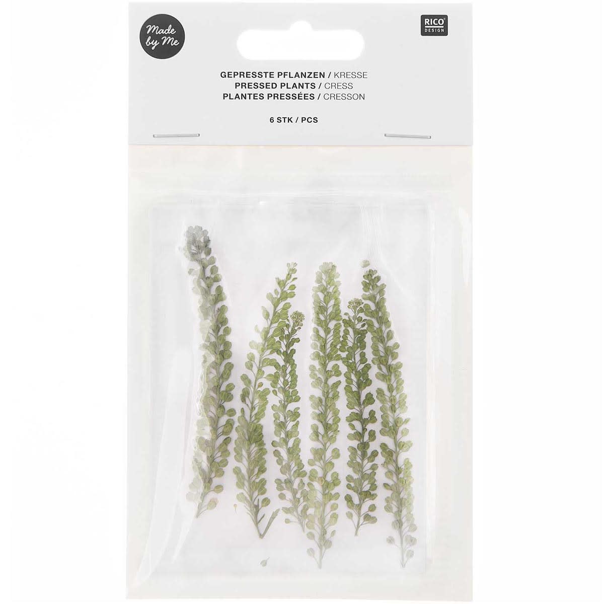 Pressed Flower & Plant Sets Cress - 6/Pkg.