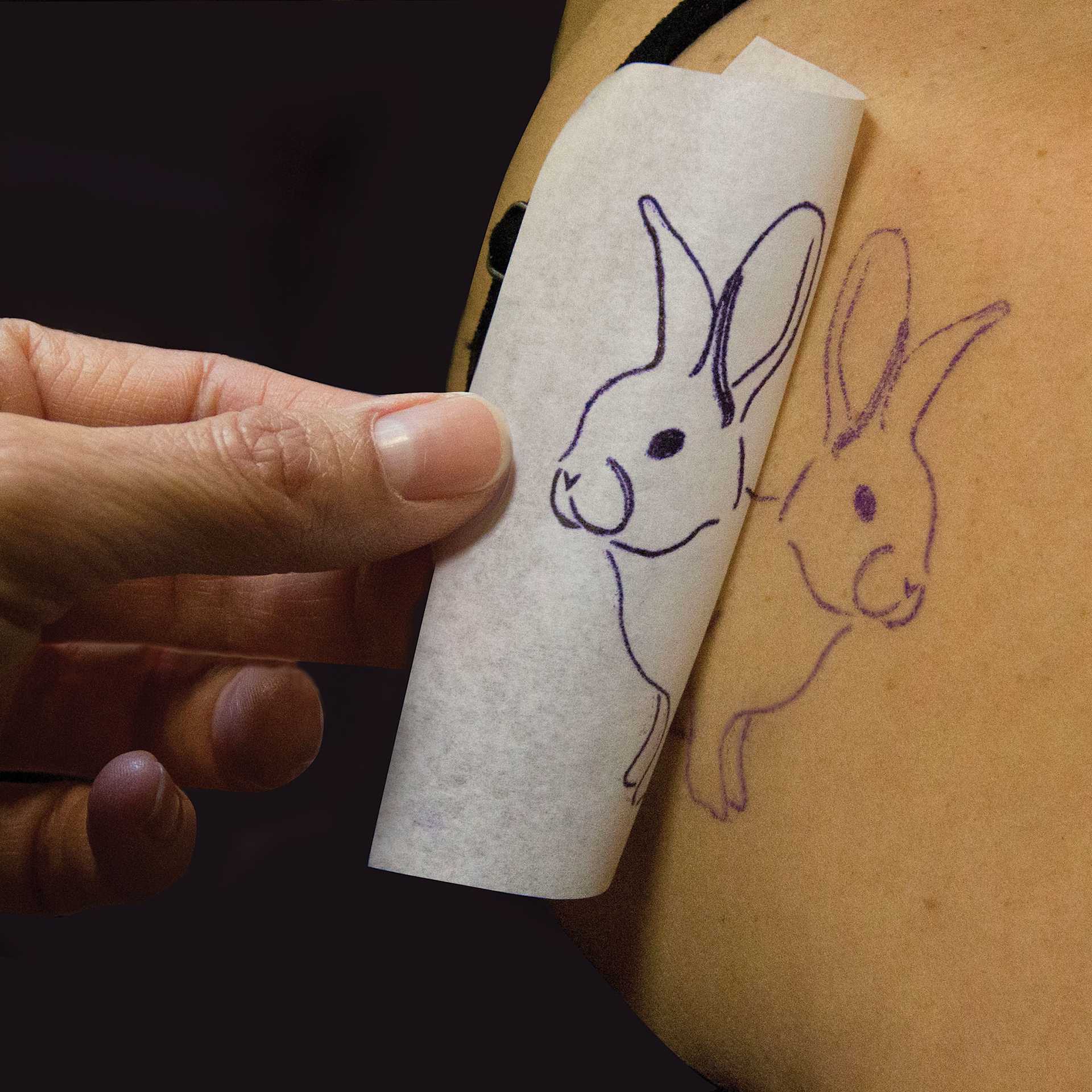Jacquard Spirit Body Art Transfer Paper - 10 sheets, 11-7/8" x 8-3/8" (Rabbit being transferred onto skin)