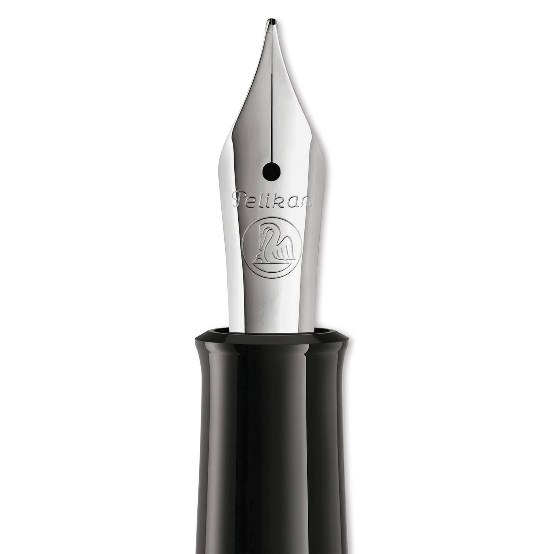 Pelikan M215 Fountain Pen close up