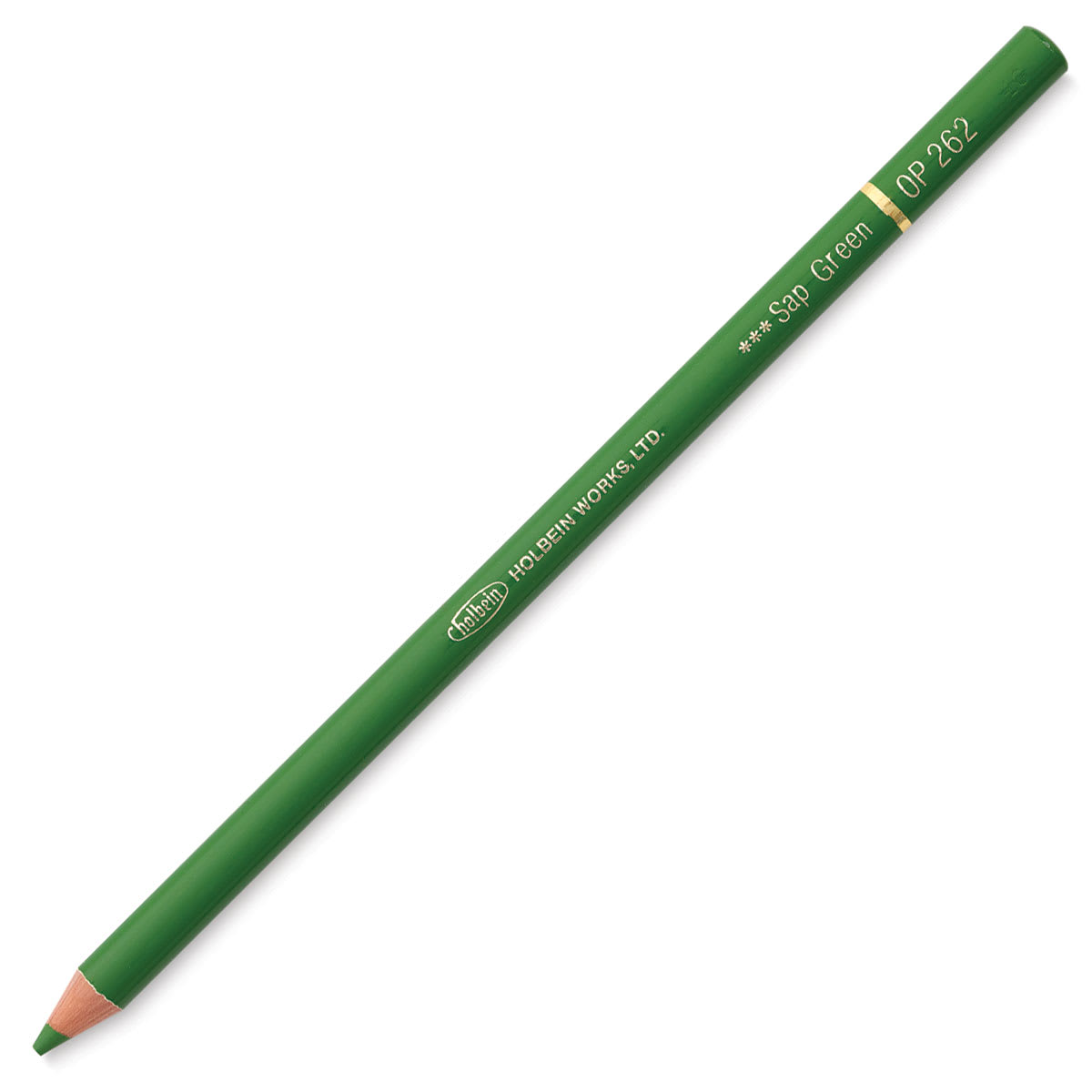 Holbein Artists' Colored Pencil - Sap Green, OP262