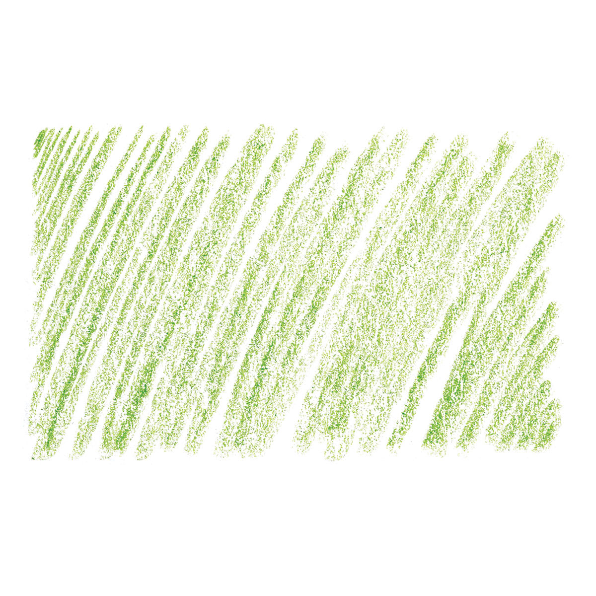 Holbein Artists' Colored Pencil - Sap Green, OP262 swatch