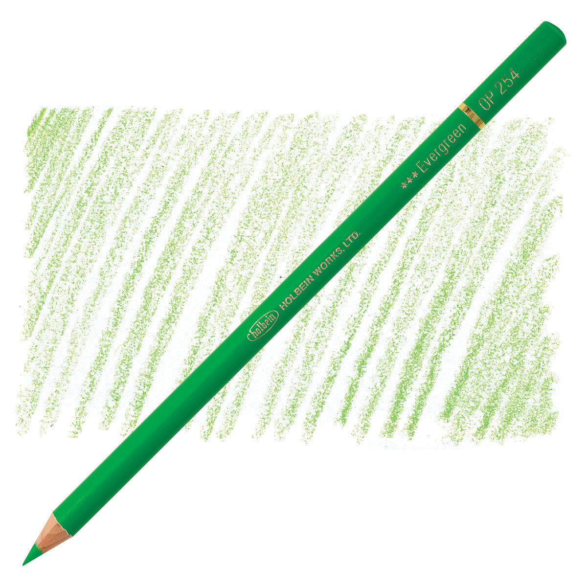 Holbein Artists' Colored Pencil - Evergreen, OP254 pencil and swatch