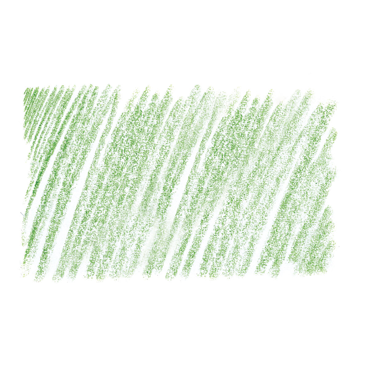 Holbein Artists' Colored Pencil - Cactus Green, OP292 swatch