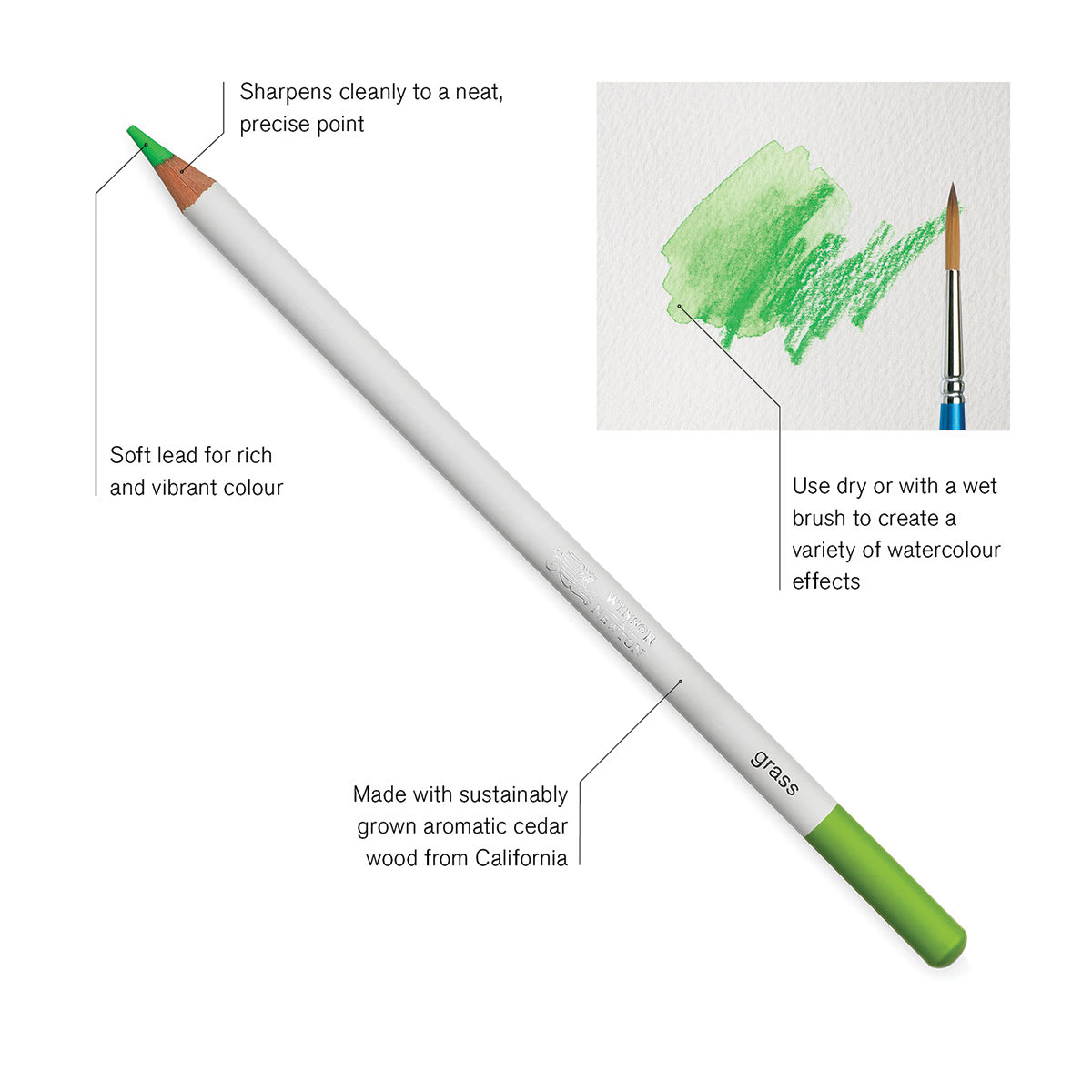 Winsor & Newton Studio Collection Watercolor Pencils, display of its features Winsor & Newton Studio Collection Watercolor Pencils, display of its features
