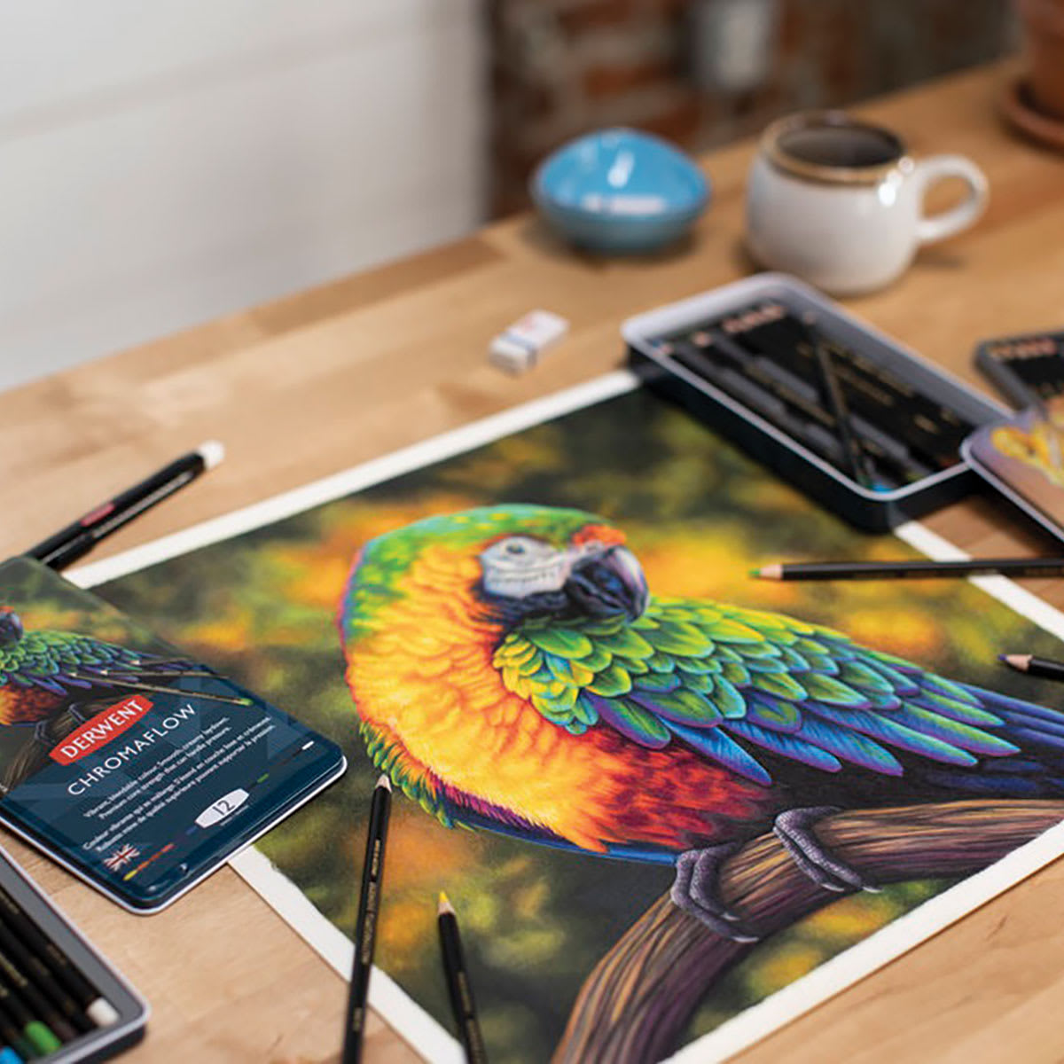 Derwent Chromaflow Colored Pencils, Parrot Artwork Derwent Chromaflow Colored Pencils, Parrot Artwork