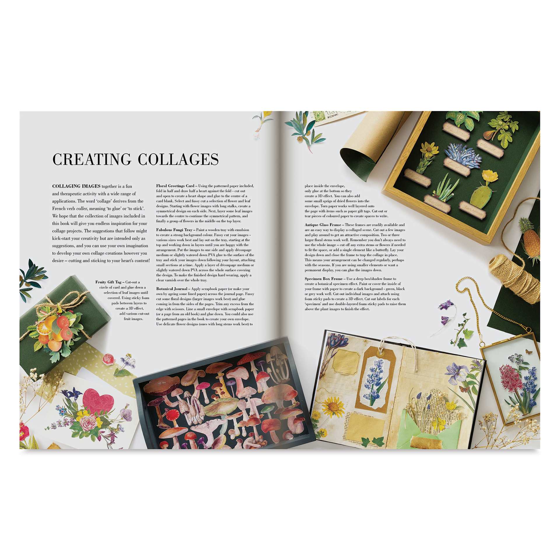 Botanical Art to Cut Out and Collage, creating collages introduction