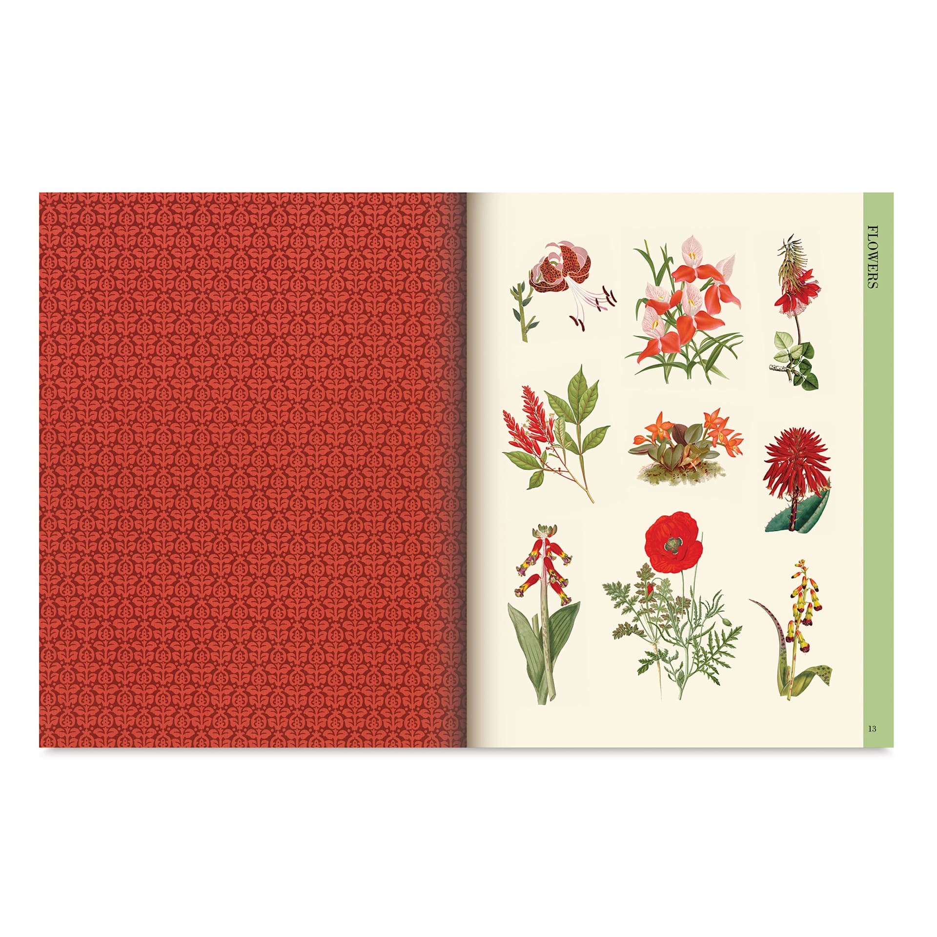 Botanical Art to Cut Out and Collage, red flowers