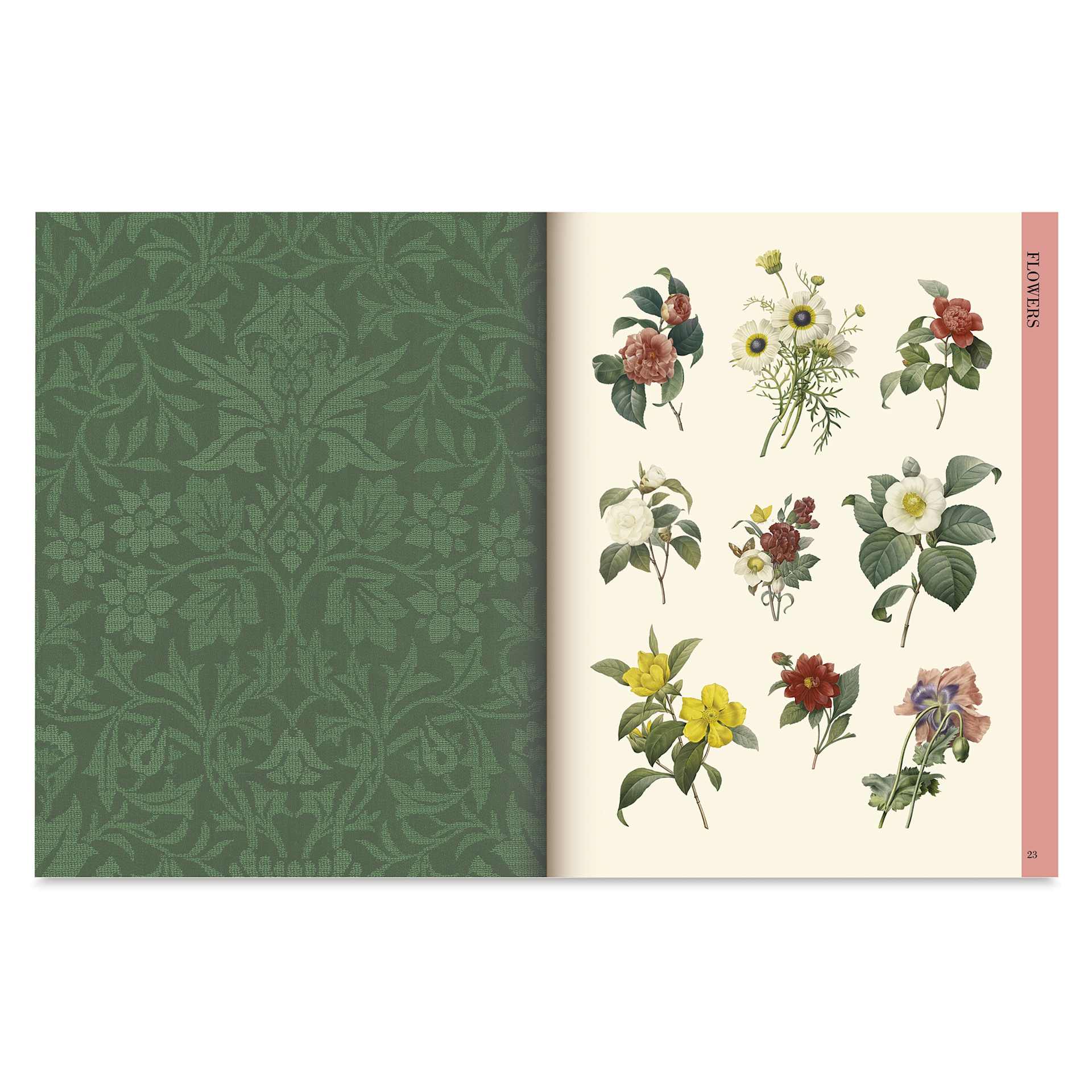 Botanical Art to Cut Out and Collage, flowers