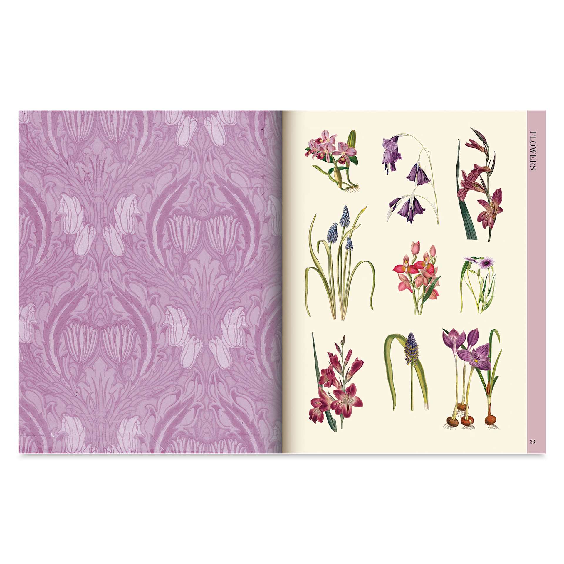 Botanical Art to Cut Out and Collage, purple flowers