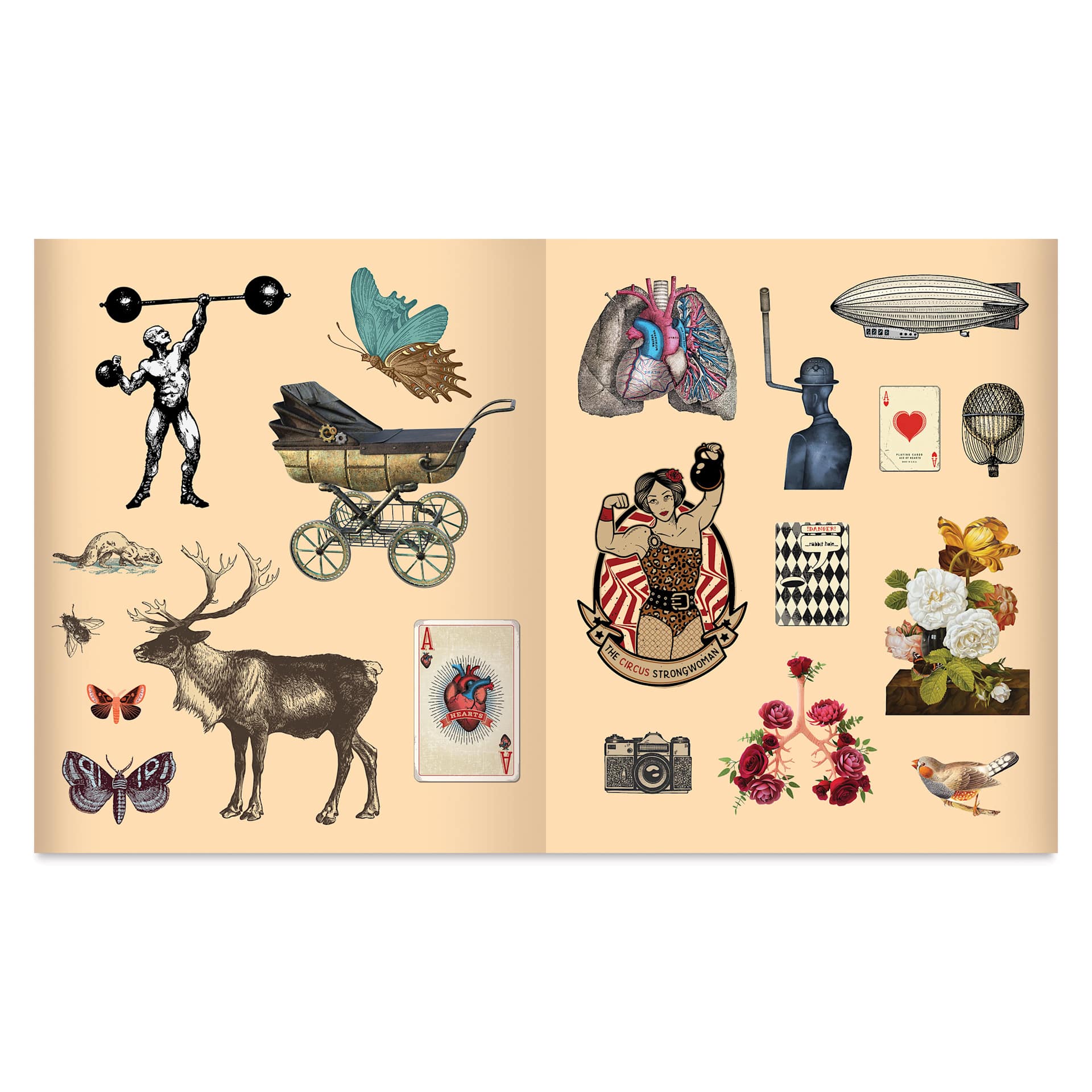 Sticker Studio Arcana Sticker Book, open