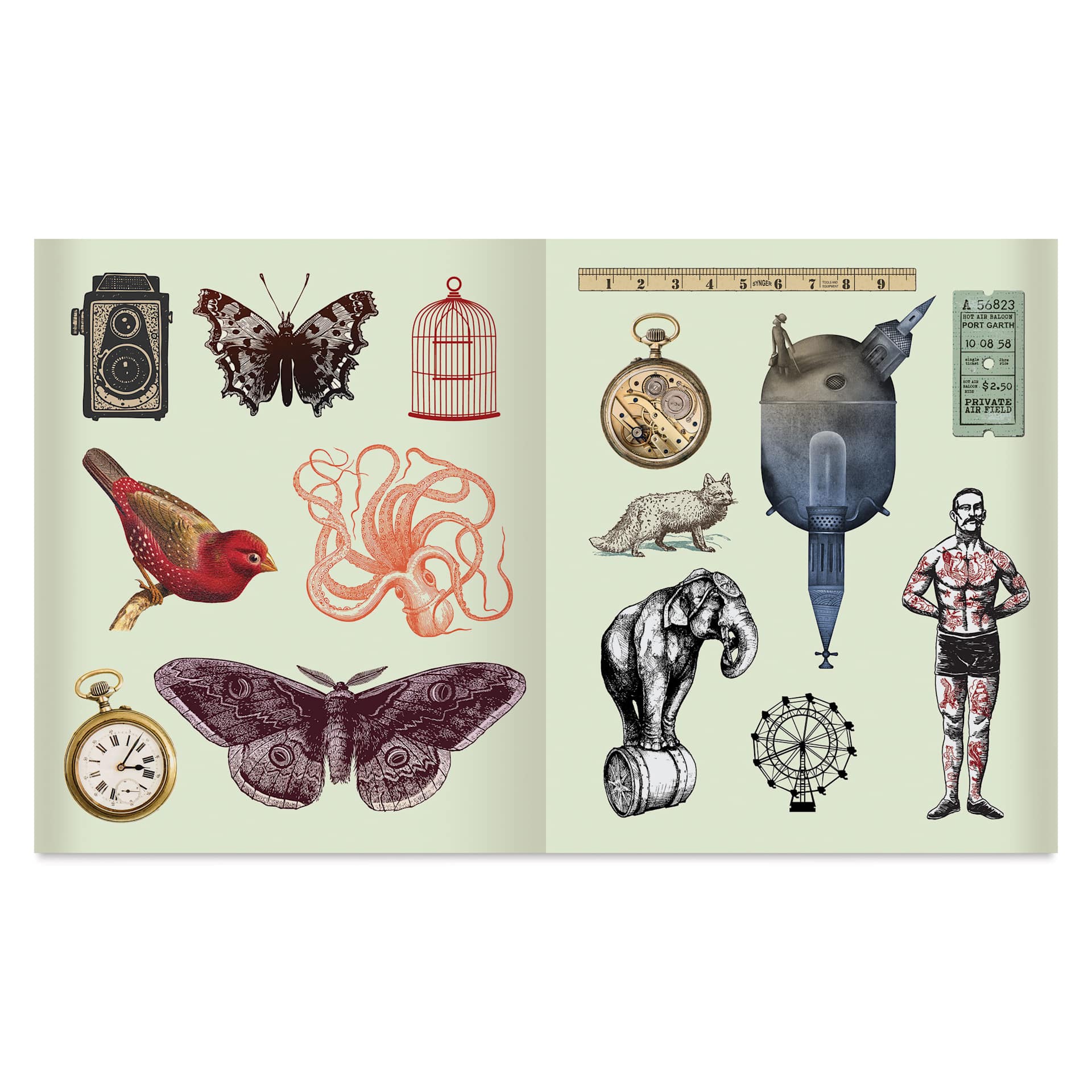 Sticker Studio Arcana Sticker Book, insects and circus stickers