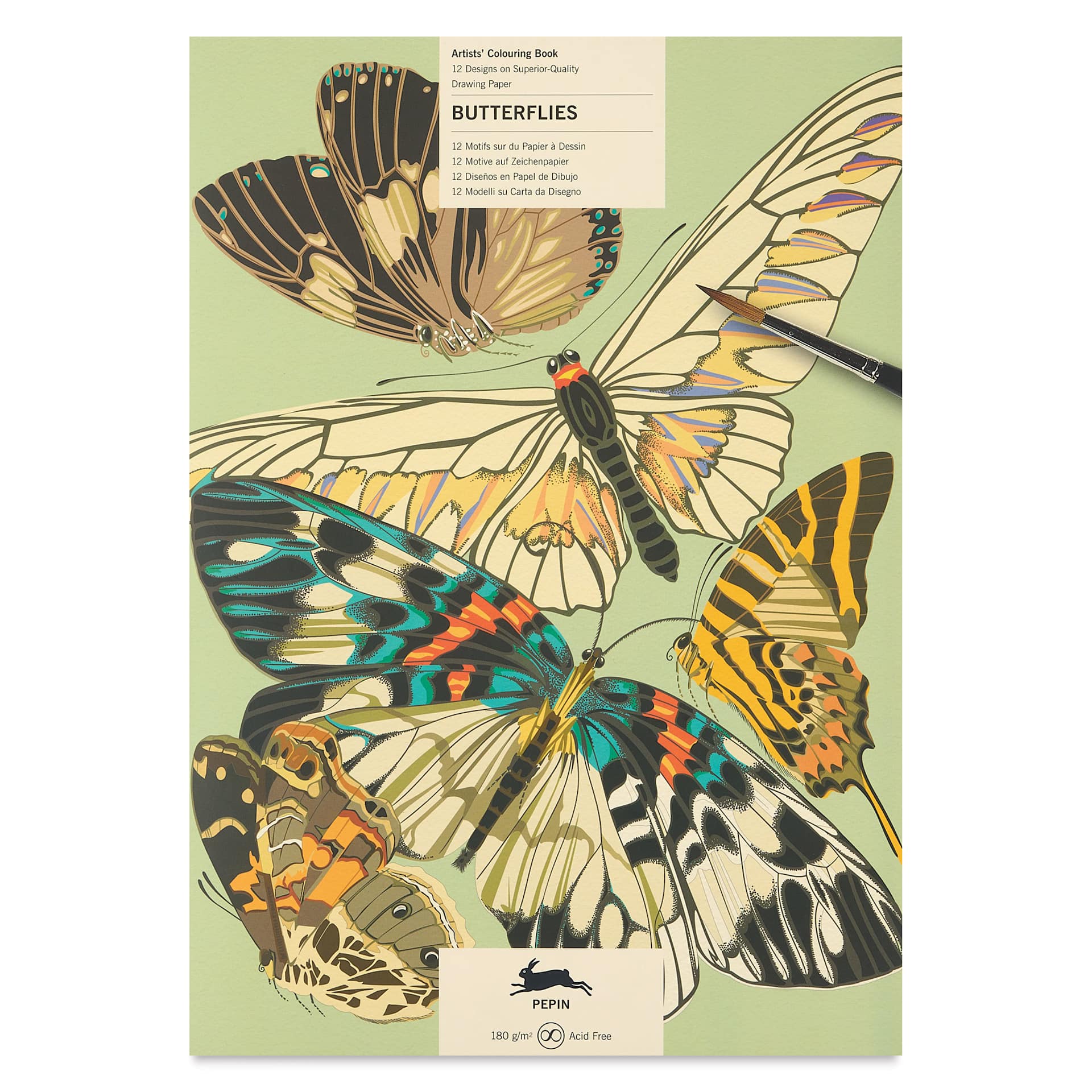The Pepin Press Butterflies Artists’ Coloring Book - 10" x 13-1/2", front cover