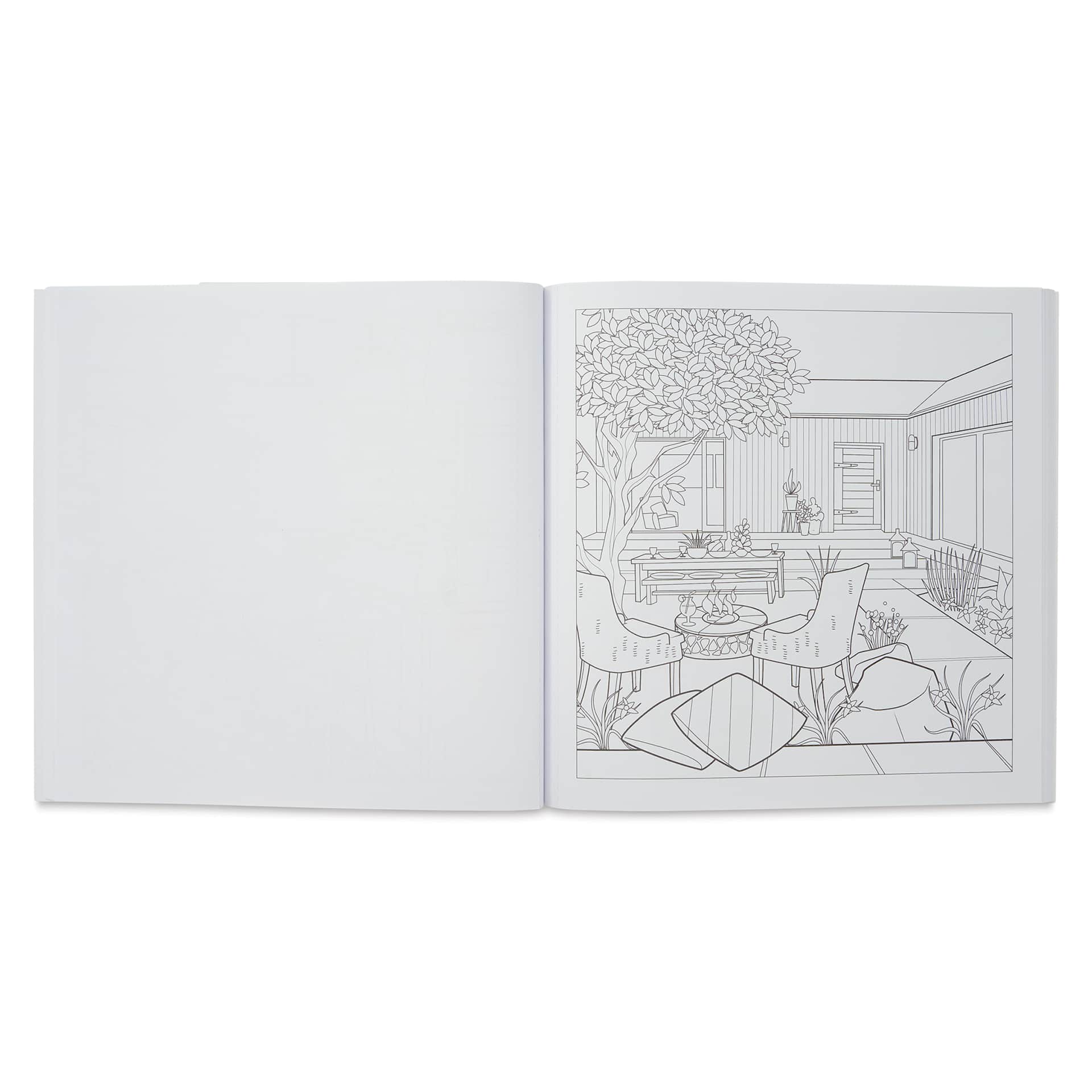 Modern Farmhouse: An Interior Design Coloring Book (illustration page example - outdoor space)