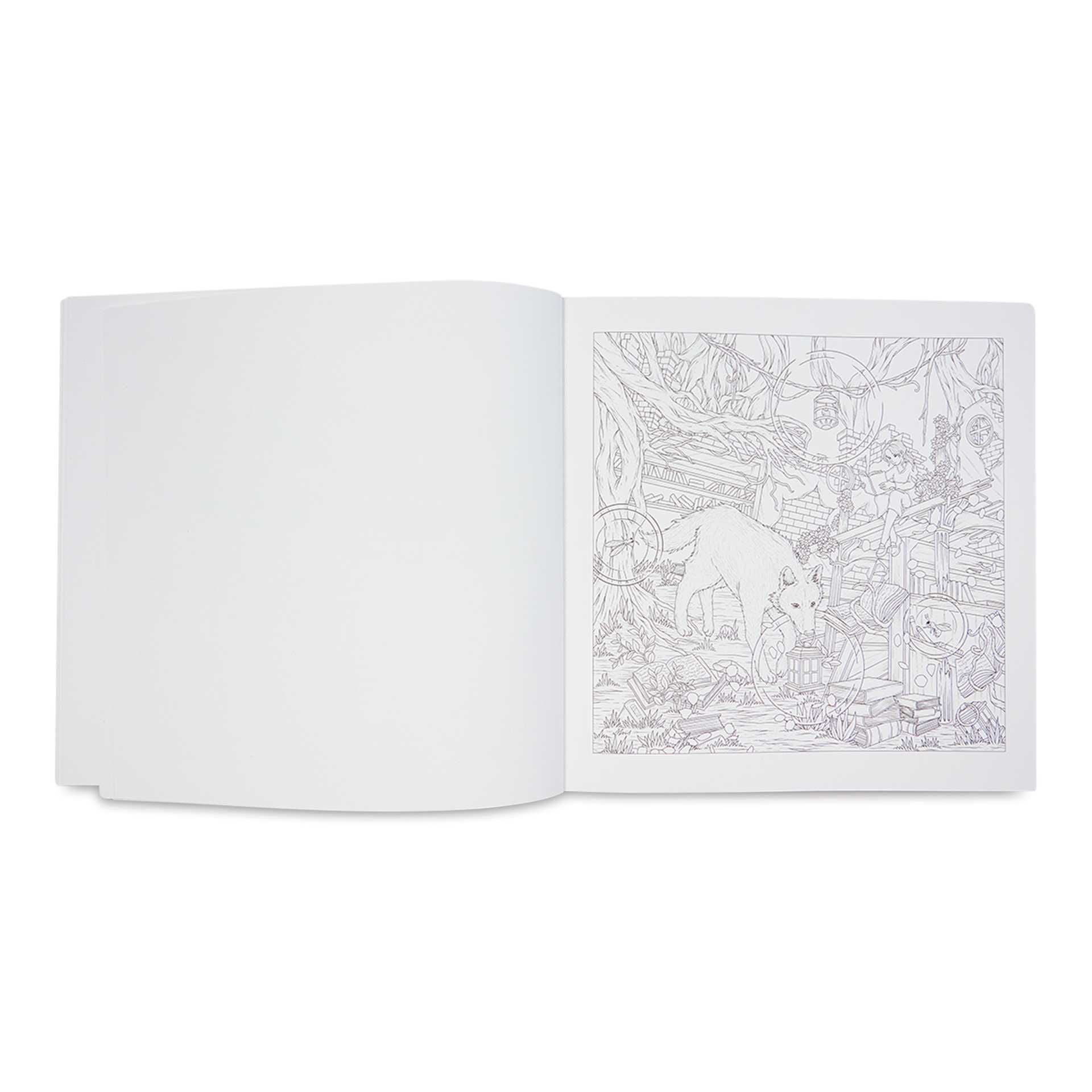 Mythographic Color and Discover: Magical Earth, wolf with a lantern