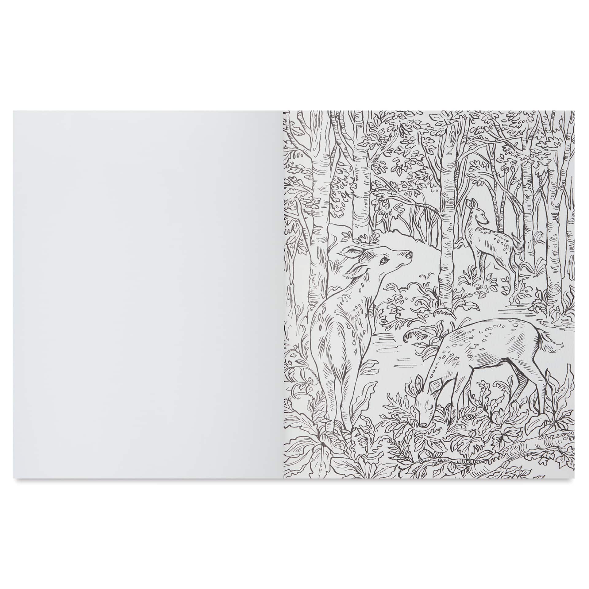 Woodland Watercolor: A Coloring Workbook, open
