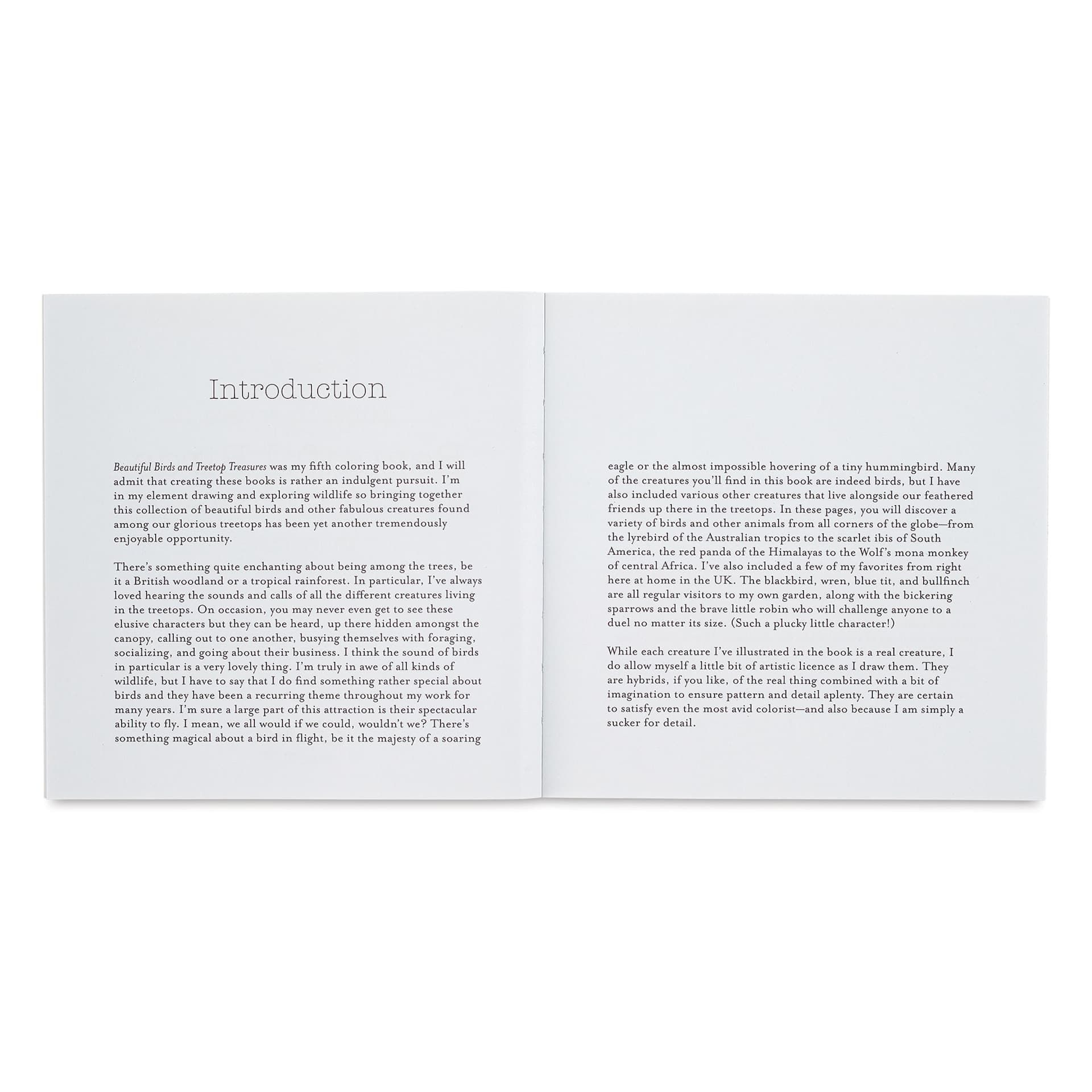 Beautiful Birds and Treetop Treasures: Mini Edition, introduction