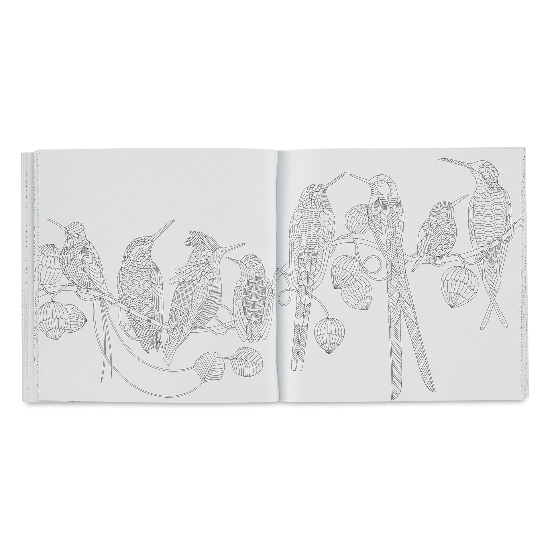 Beautiful Birds and Treetop Treasures: Mini Edition, various birds