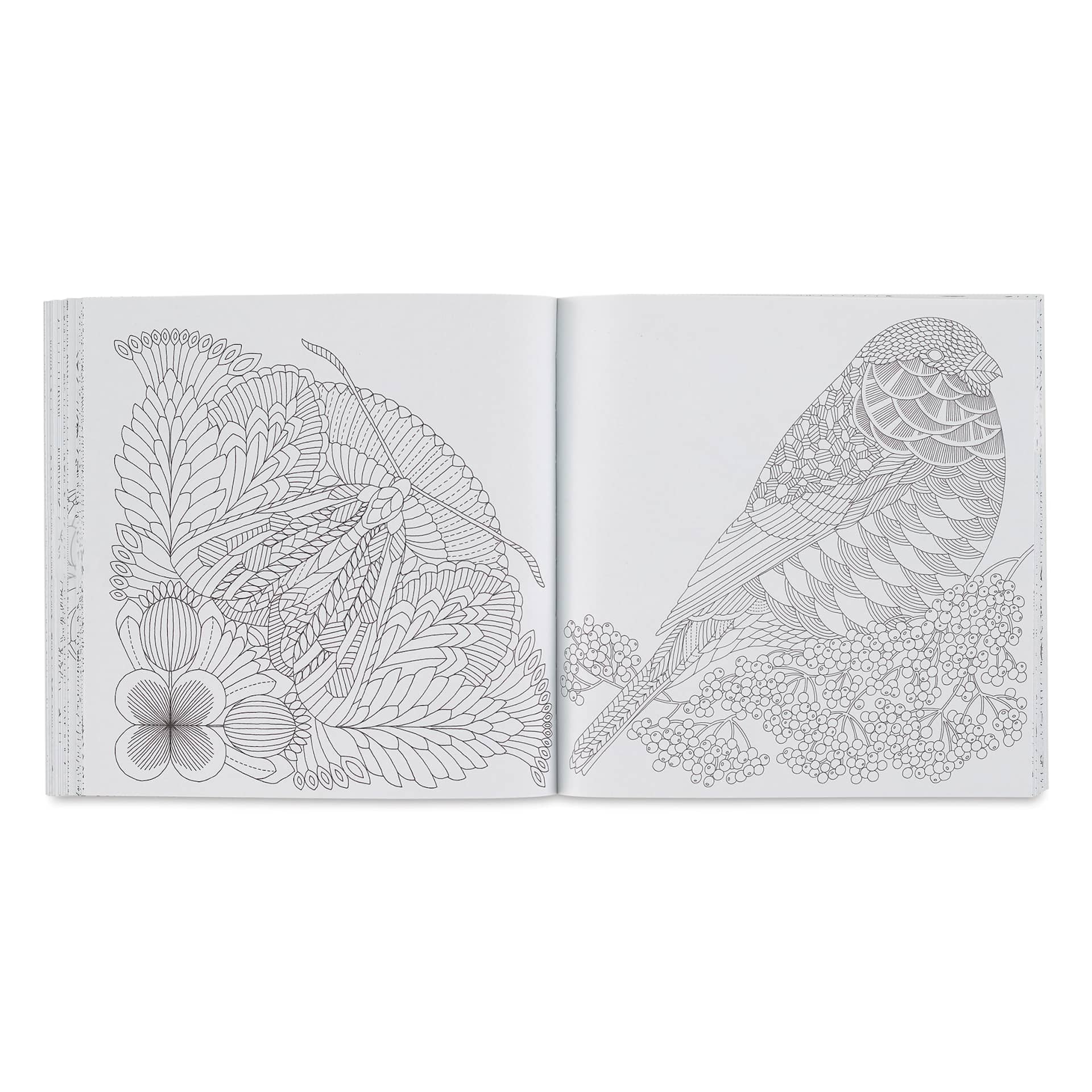 Beautiful Birds and Treetop Treasures: Mini Edition, butterfly and bird