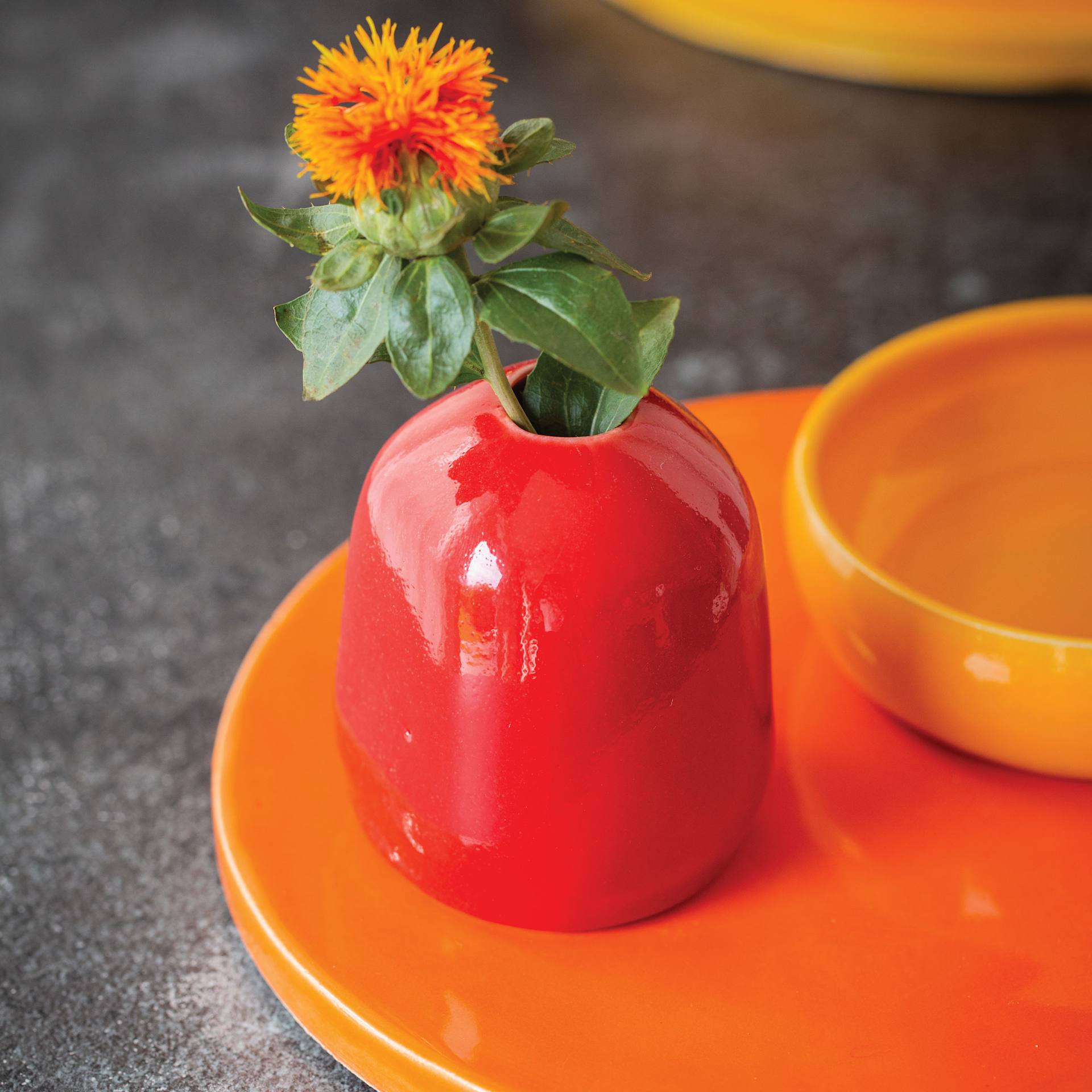 Botz Pro Glaze - Fire Opal, 200 ml finished vase, bowl, and plate example