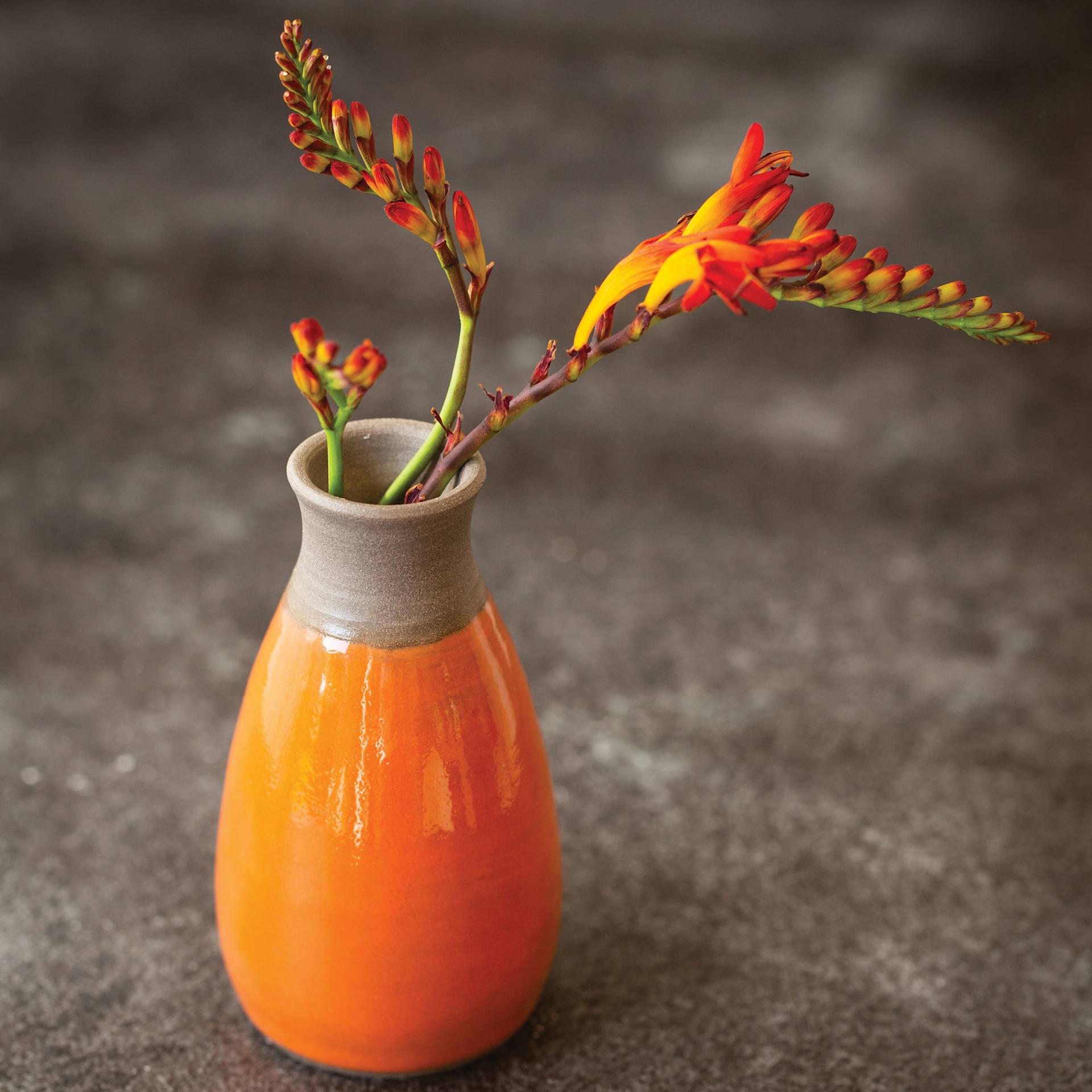 Botz Pro Glaze - Fire Opal, 200 ml finished vase example