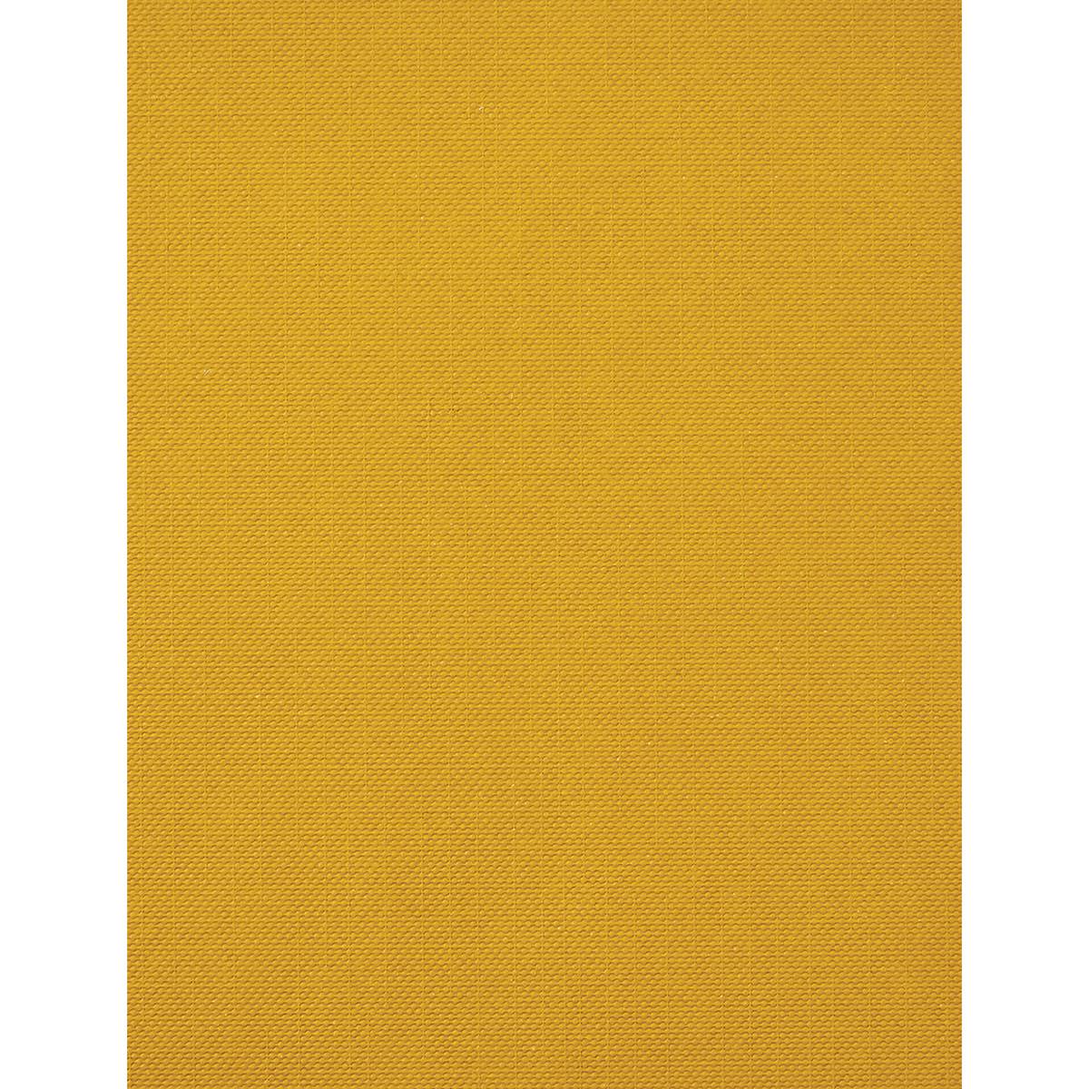 Cricut Joy Cards, Inserts, and Envelopes - Sensei, Package of 12 (Mustard Insert)