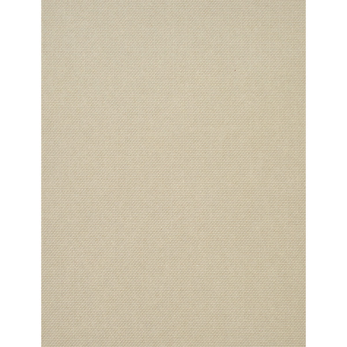 Cricut Joy Cards, Inserts, and Envelopes - Sensei, Package of 12 (Khaki Insert)