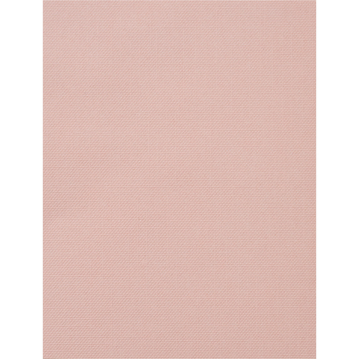 Cricut Joy Cards, Inserts, and Envelopes - Pastel, Package of 12 (Tulip Insert)