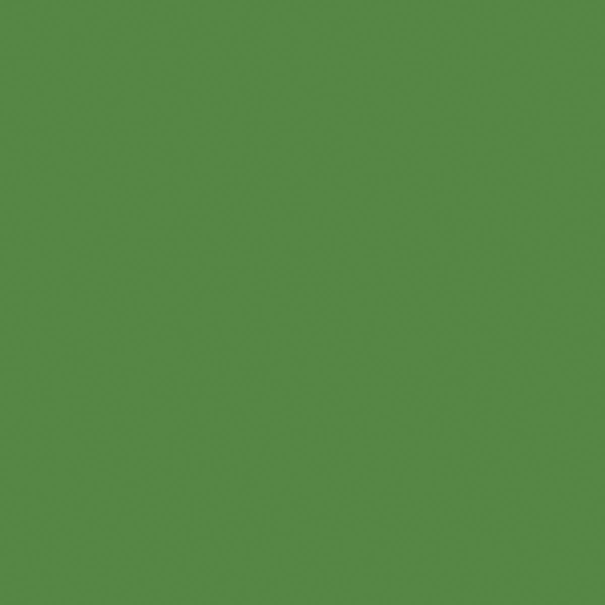 Cricut Joy Removable Smart Vinyl - Bright Green, 5-1/2" x 48", Roll (Color swatch)