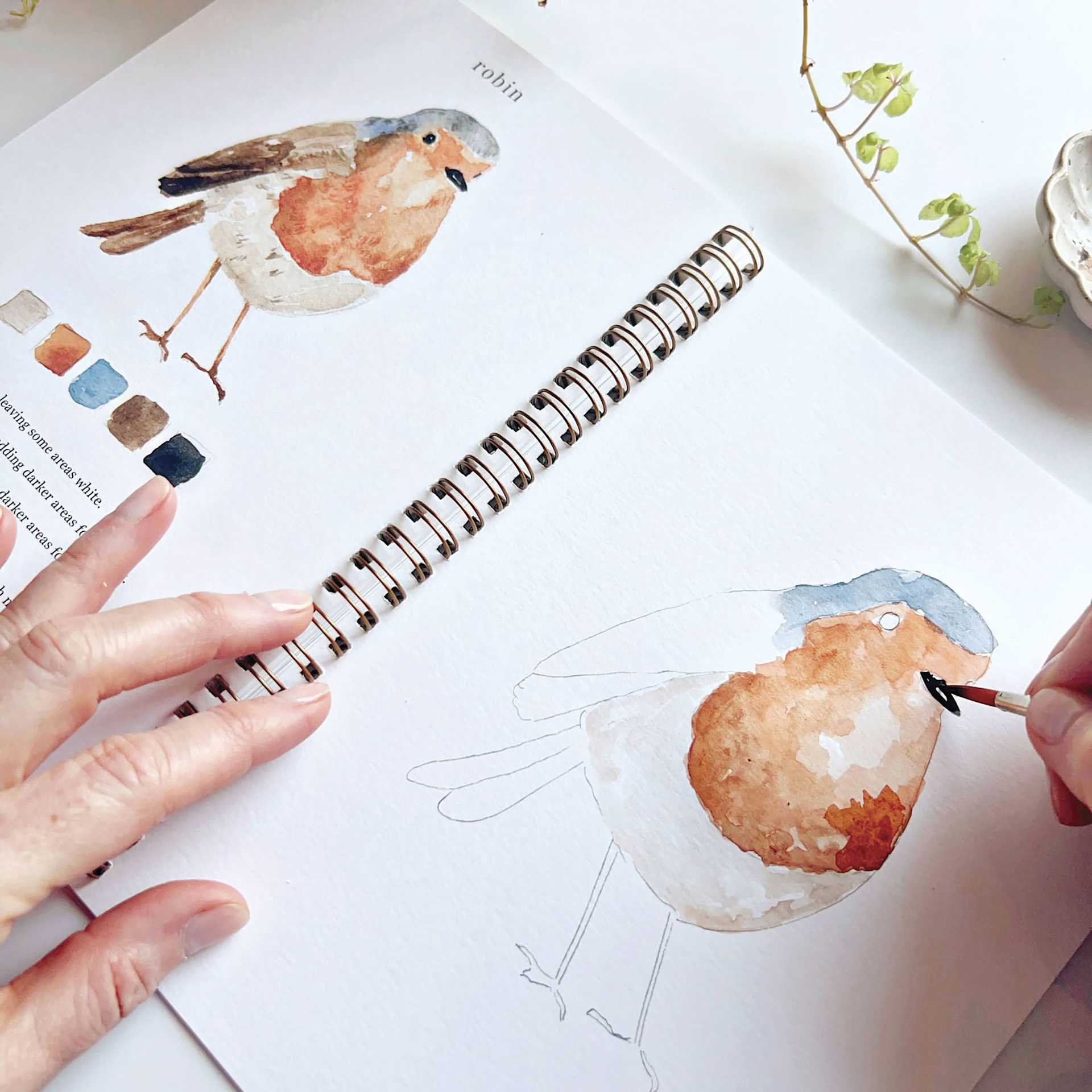 Emily Lex Studio Birds Watercolor Workbook, Robin sketch being painted