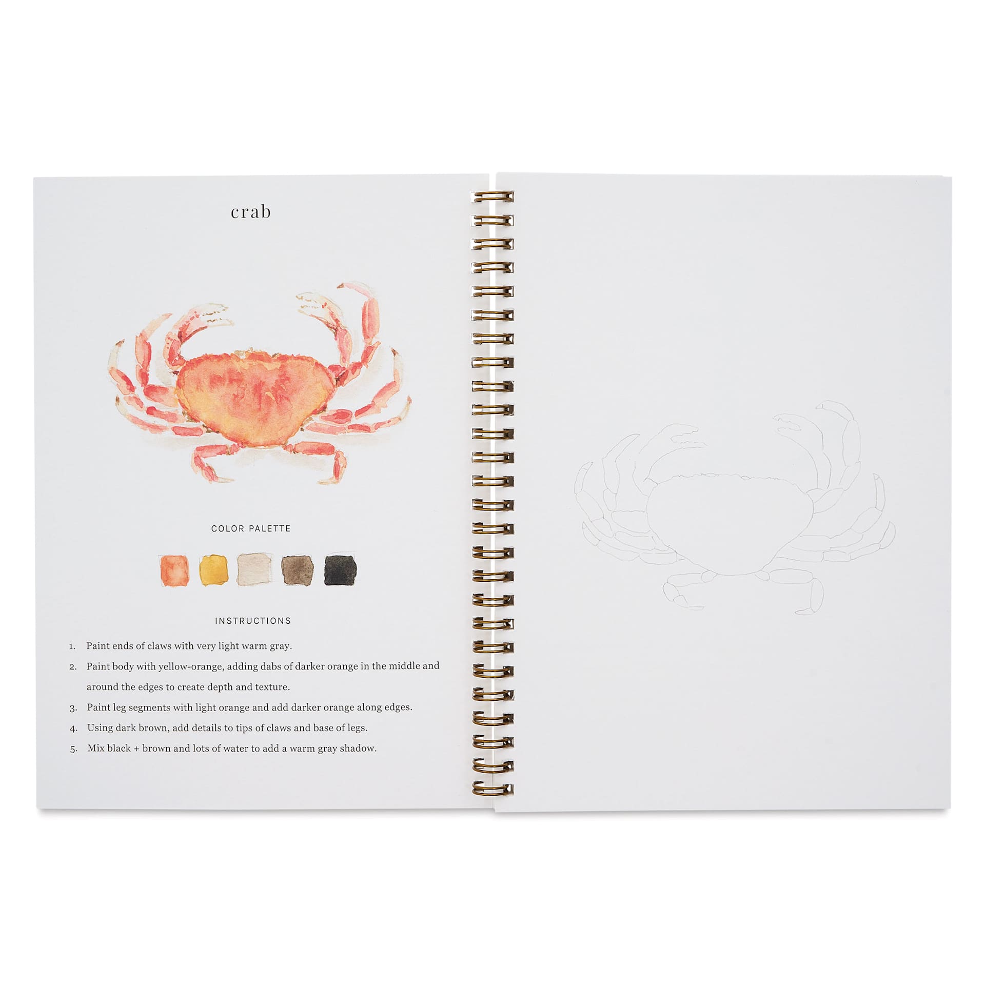 Emily Lex Studio Seaside Watercolor Workbook - 6-1/2" x 9", crab