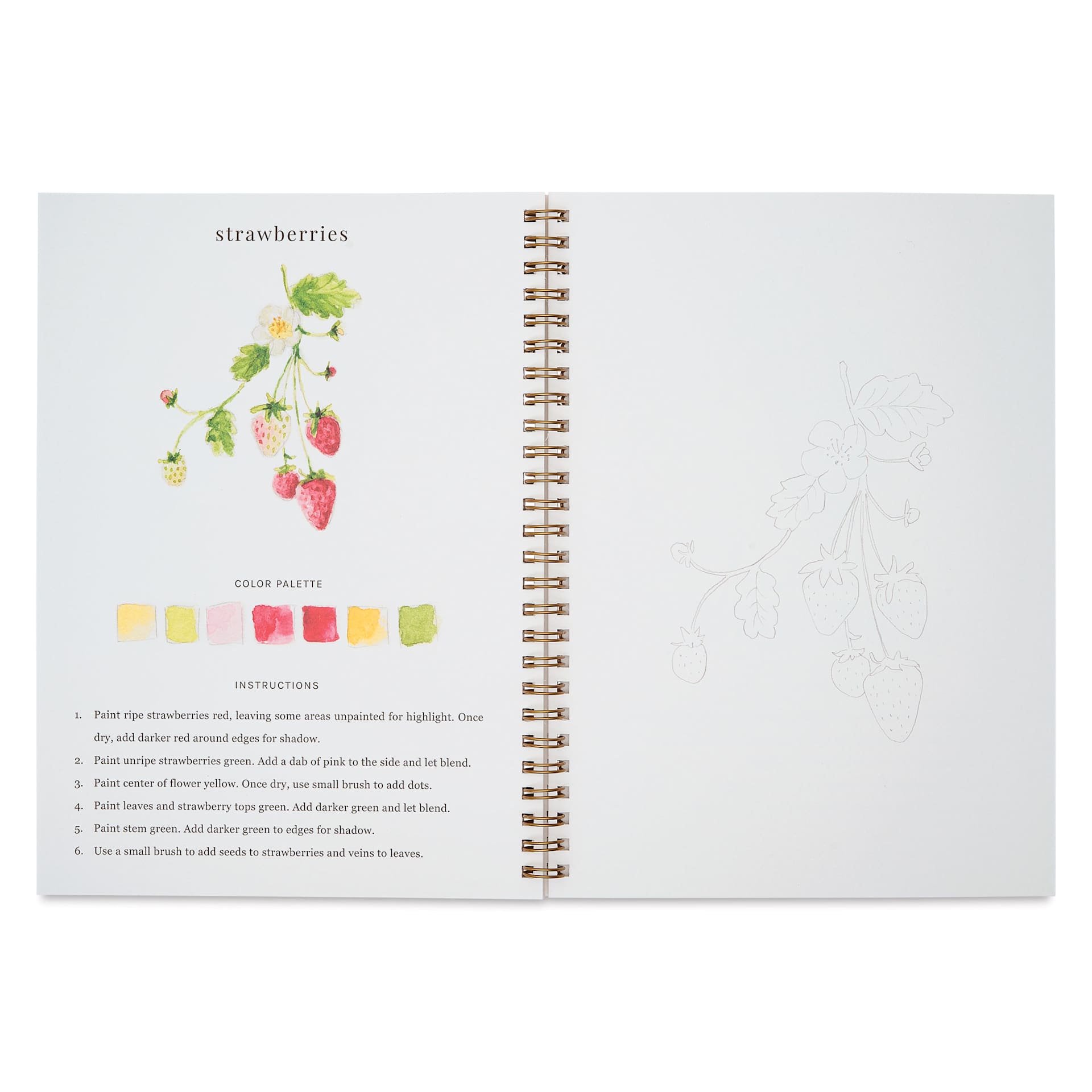 Emily Lex Studio Fruit Watercolor Workbook - 6-1/2" x 9", strawberries