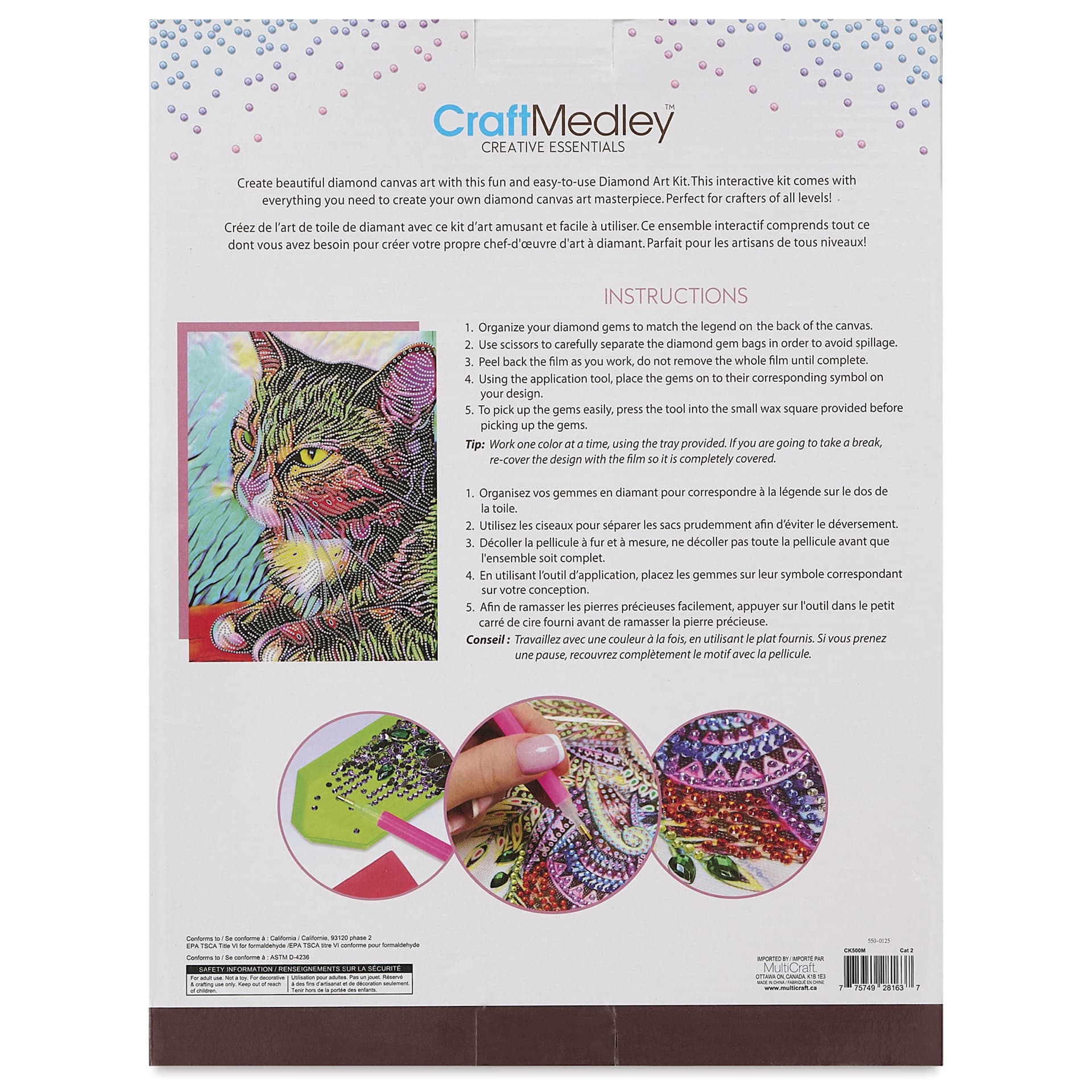 Craft Medley Diamond Painting Canvas Art Kit - Cat 2 - back of packaging