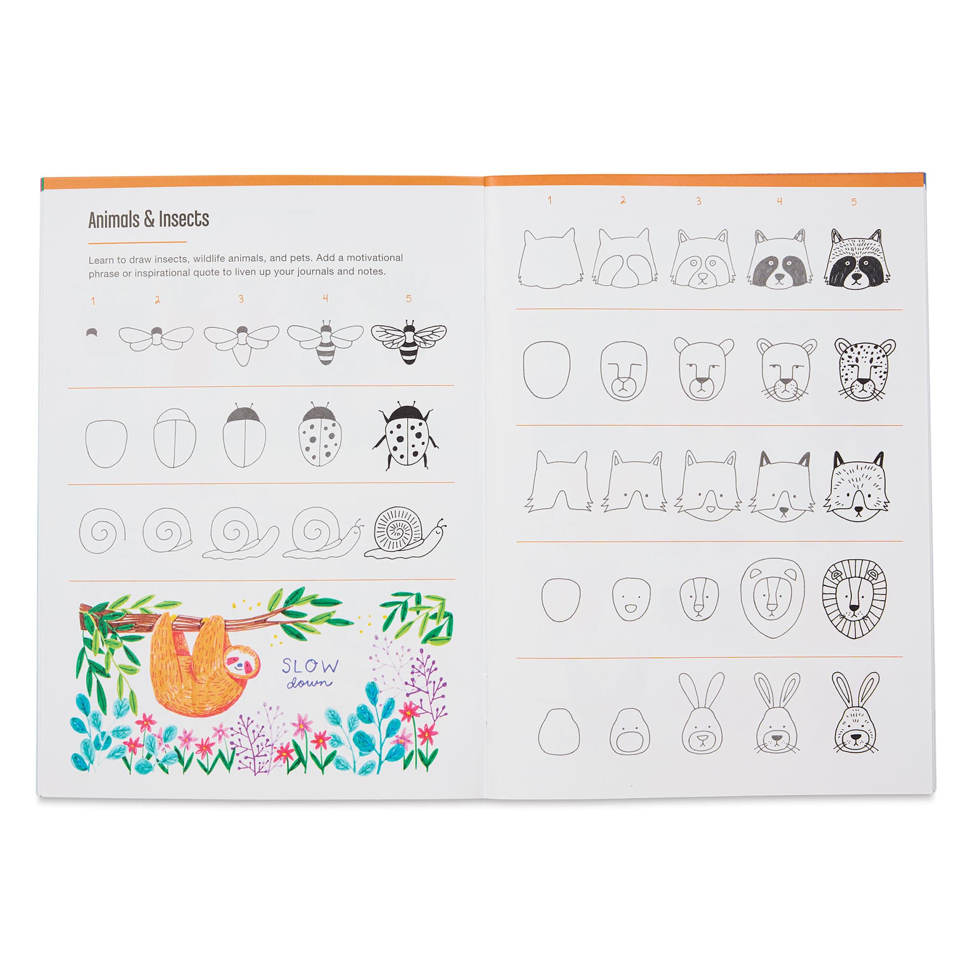 Tombow Learn to Doodle Kit, inside of the instructional book showing animals and insects