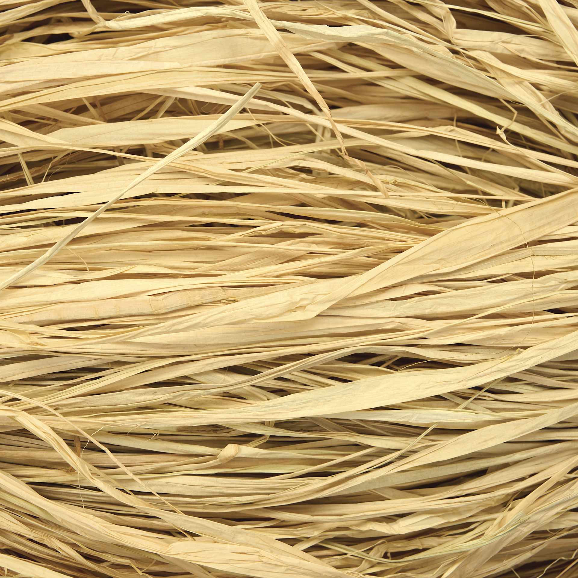 SuperMoss Raffia - Natural - close-up