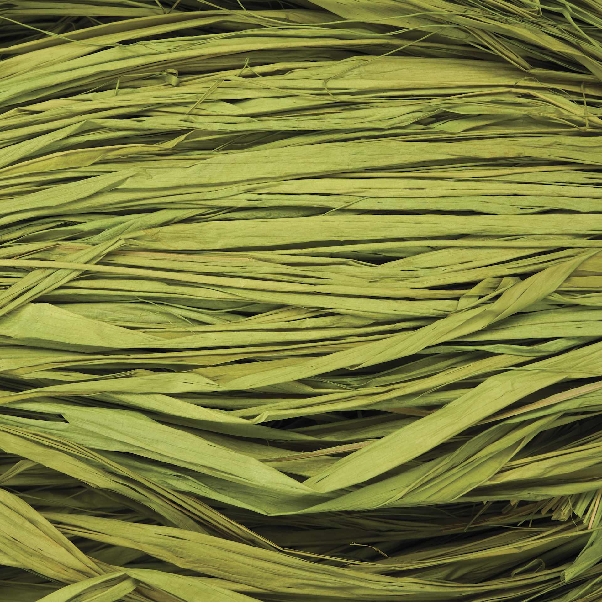 SuperMoss Raffia - Basil - close-up